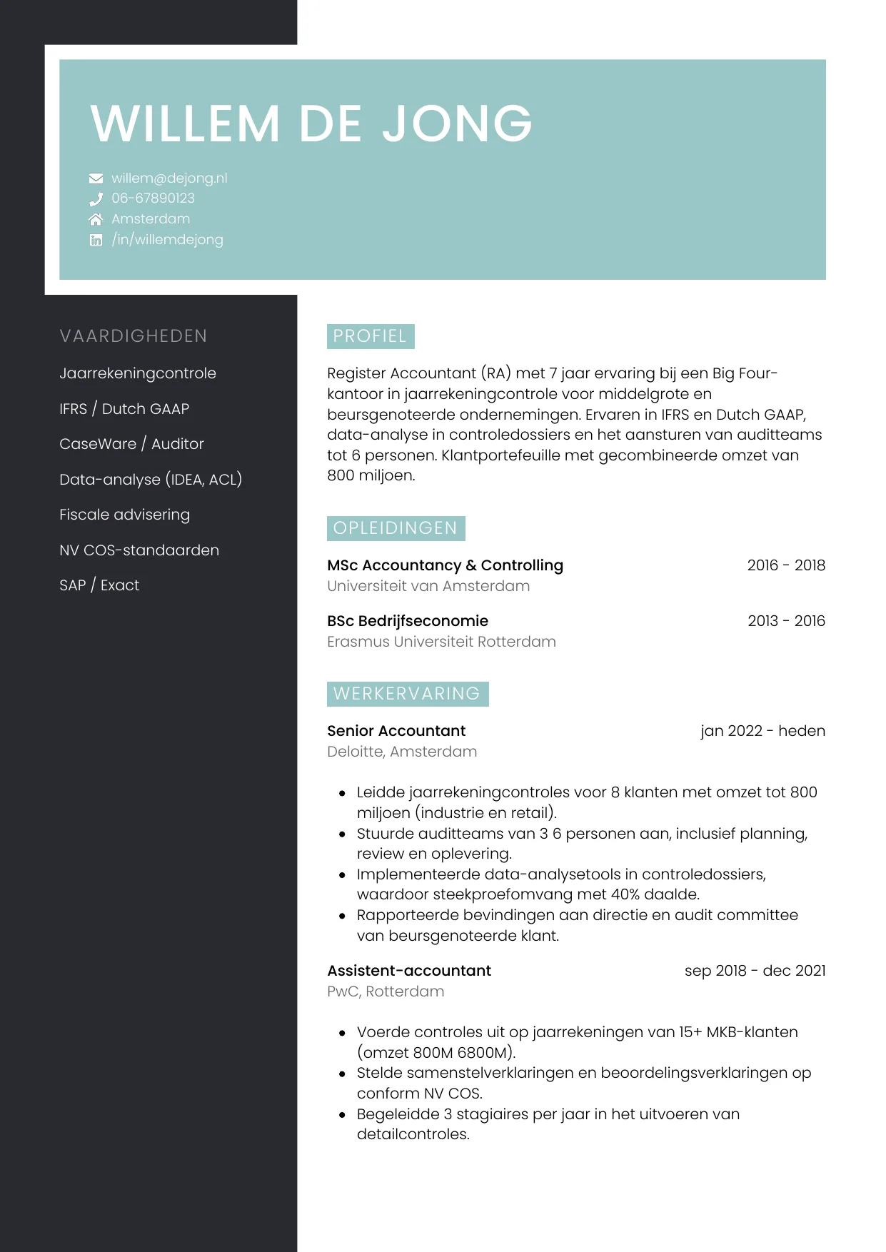 CV Elegant voor accountant