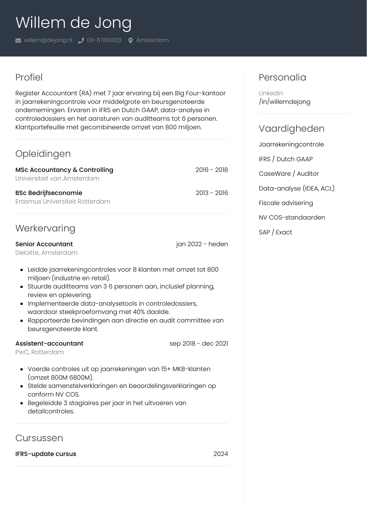 CV Professioneel voor accountant
