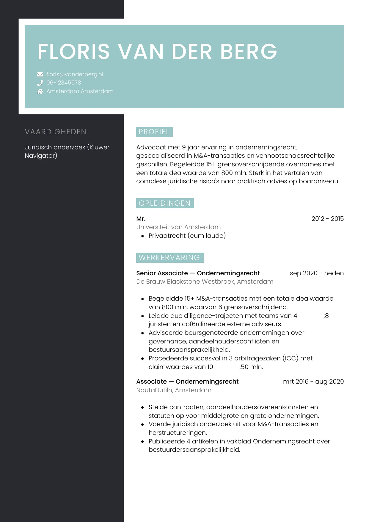 Voorbeeld CV voor advocaat in template Elegant. CV Elegant voor advocaat