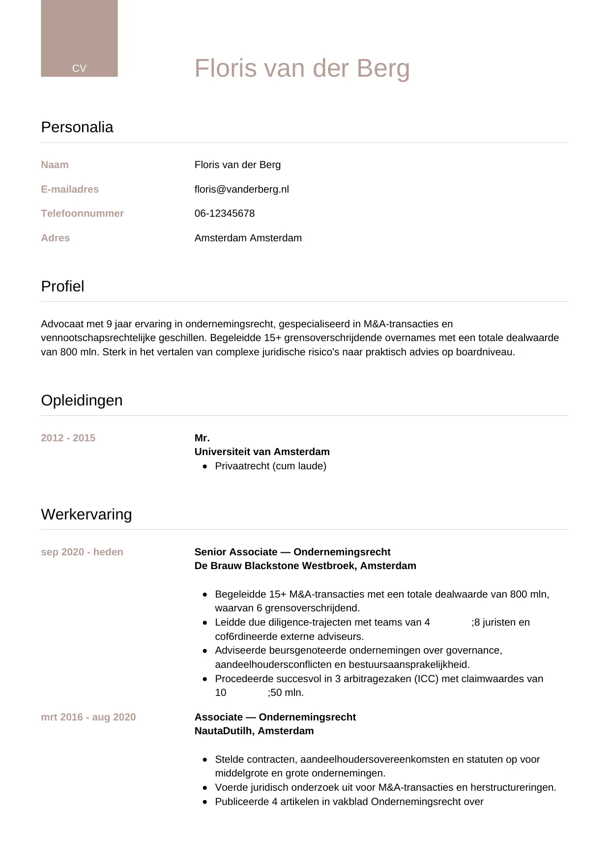 Voorbeeld CV voor advocaat in template Luxe. CV Luxe voor advocaat