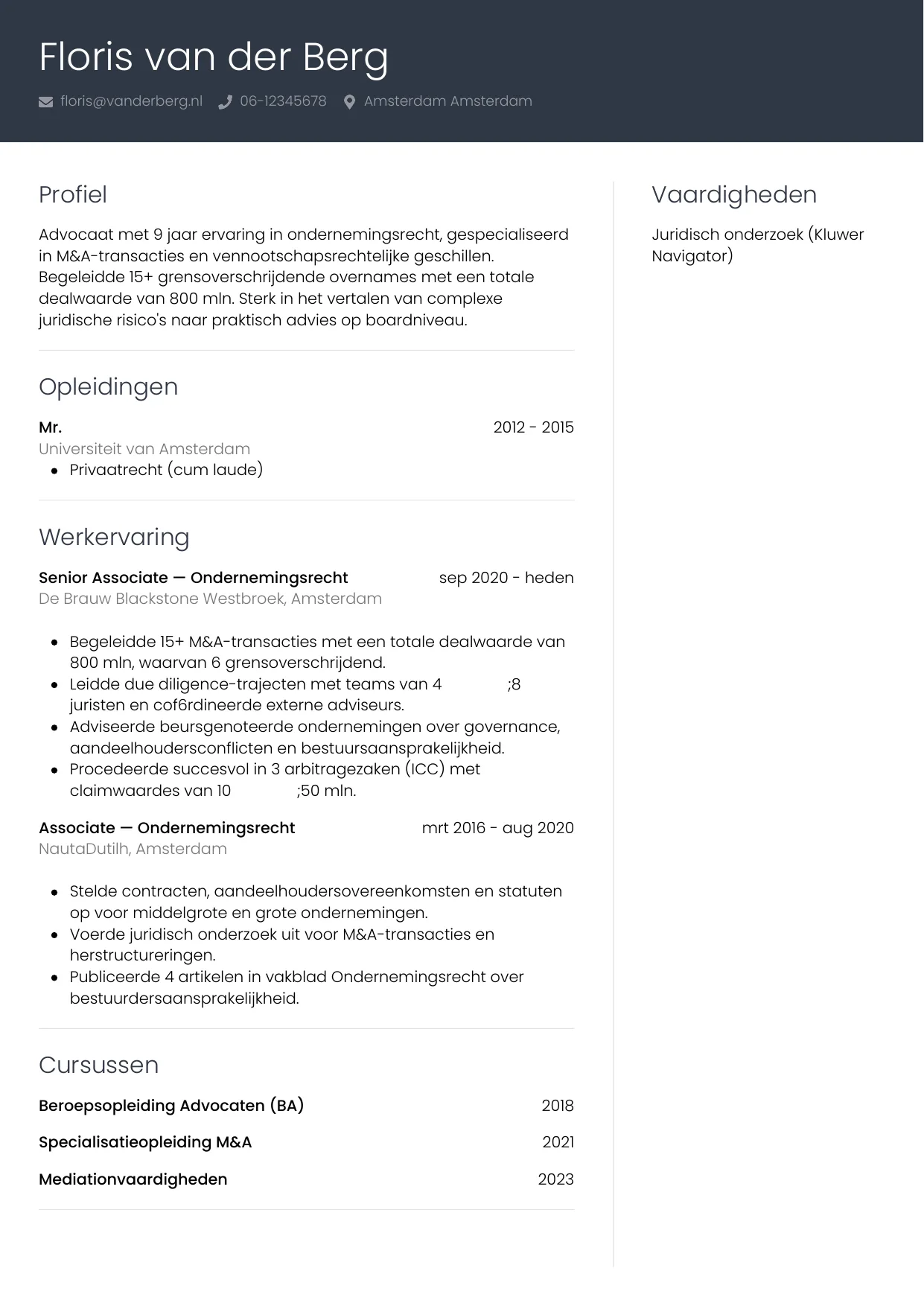 Voorbeeld CV voor advocaat in template Professioneel. CV Professioneel voor advocaat
