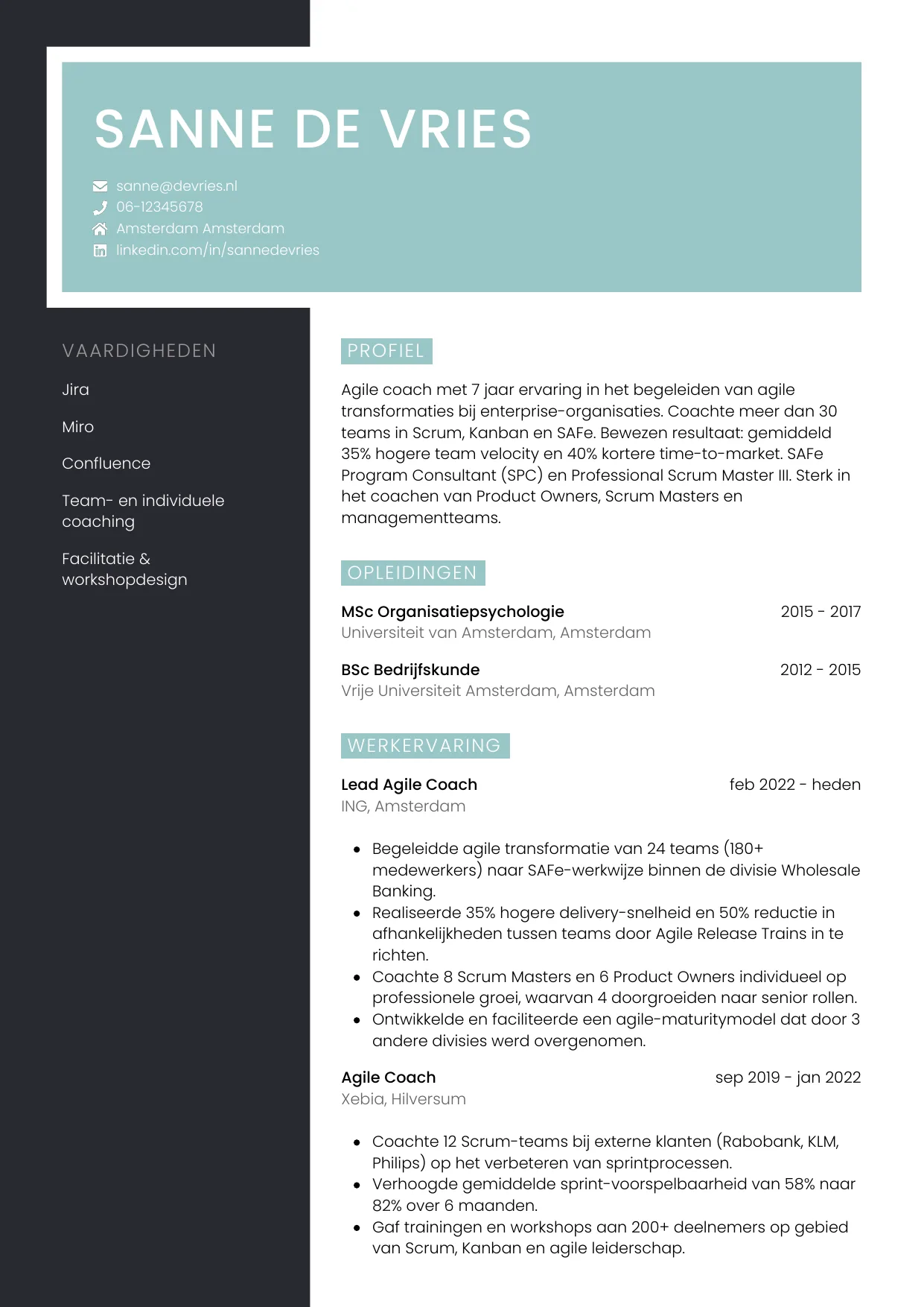 CV Elegant voor agile coach