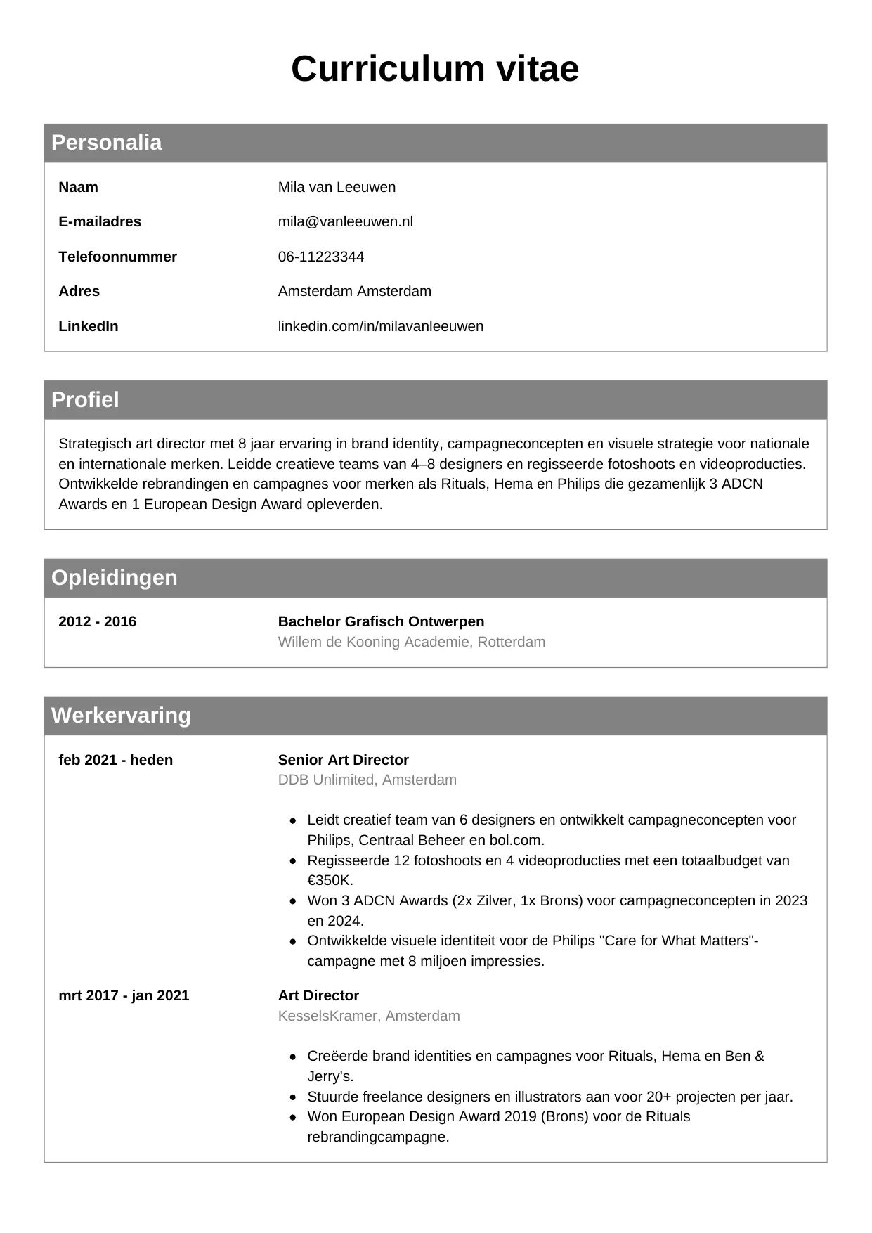 Voorbeeld CV voor art director in template Klassiek. CV Klassiek voor art director