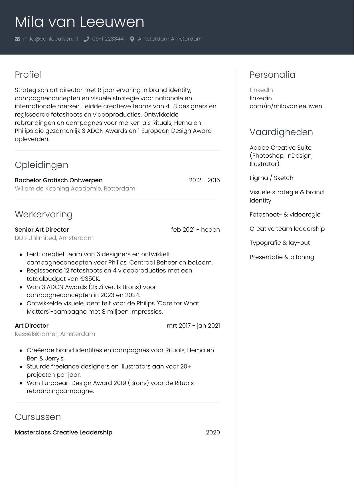 Voorbeeld CV voor art director in template Professioneel. CV Professioneel voor art director