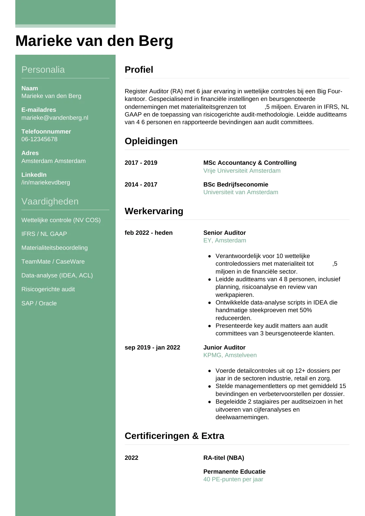 CV Casual voor auditor