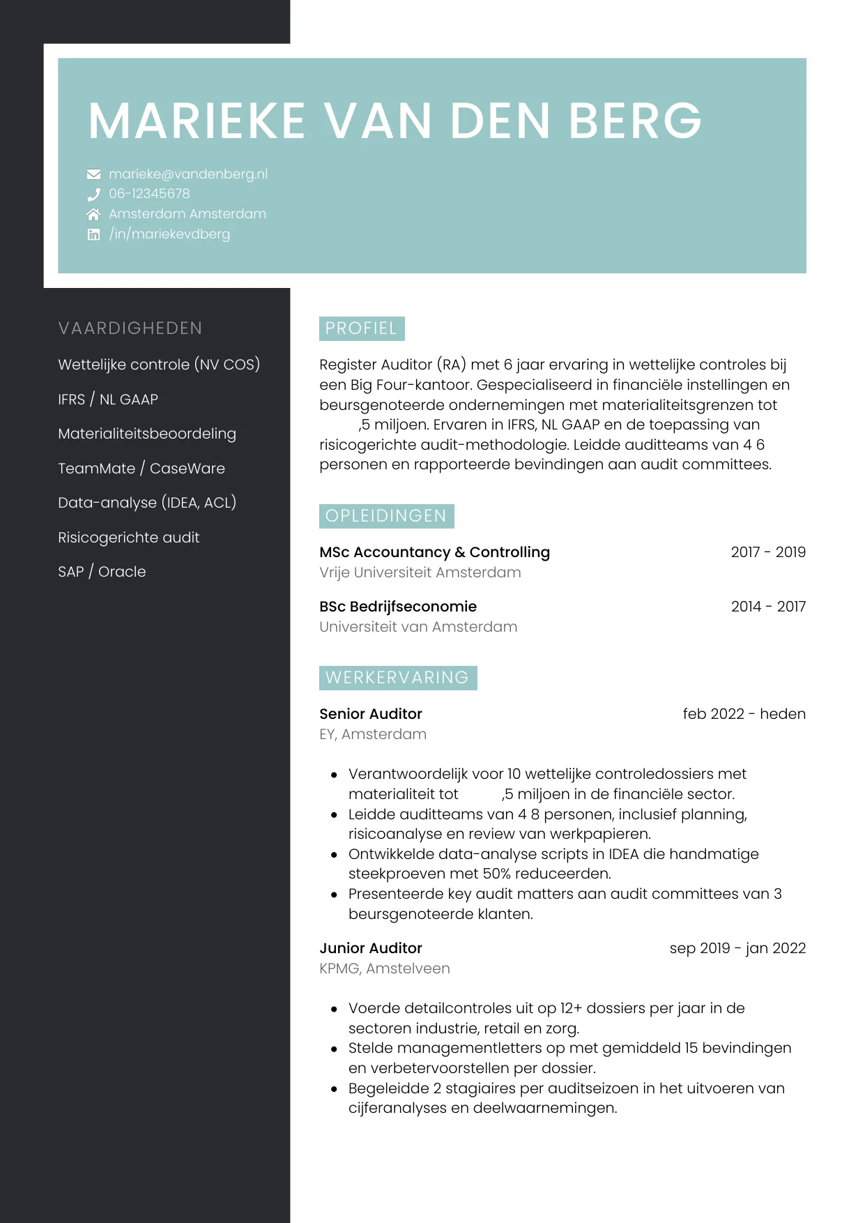 CV Elegant voor auditor