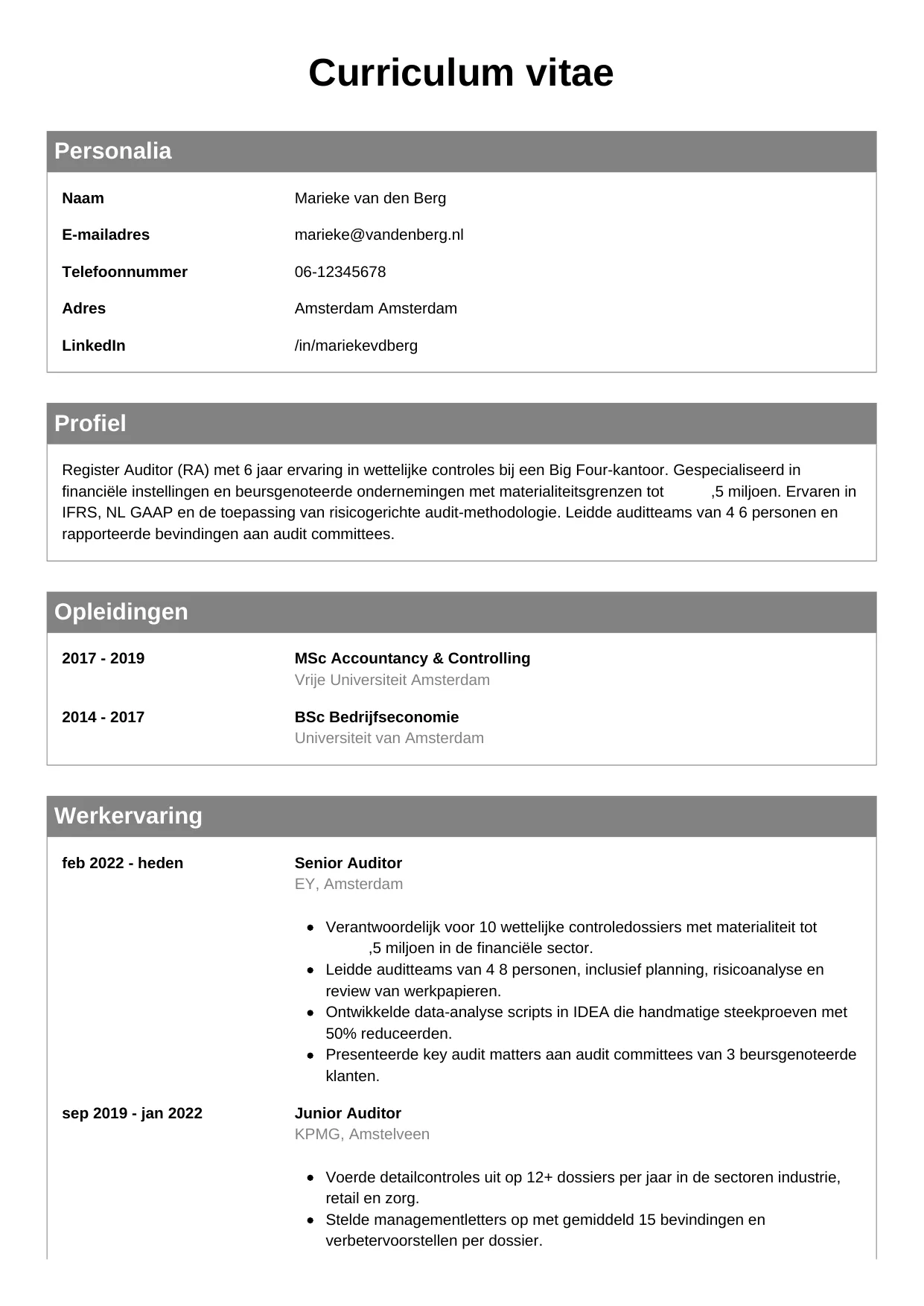 CV Klassiek voor auditor