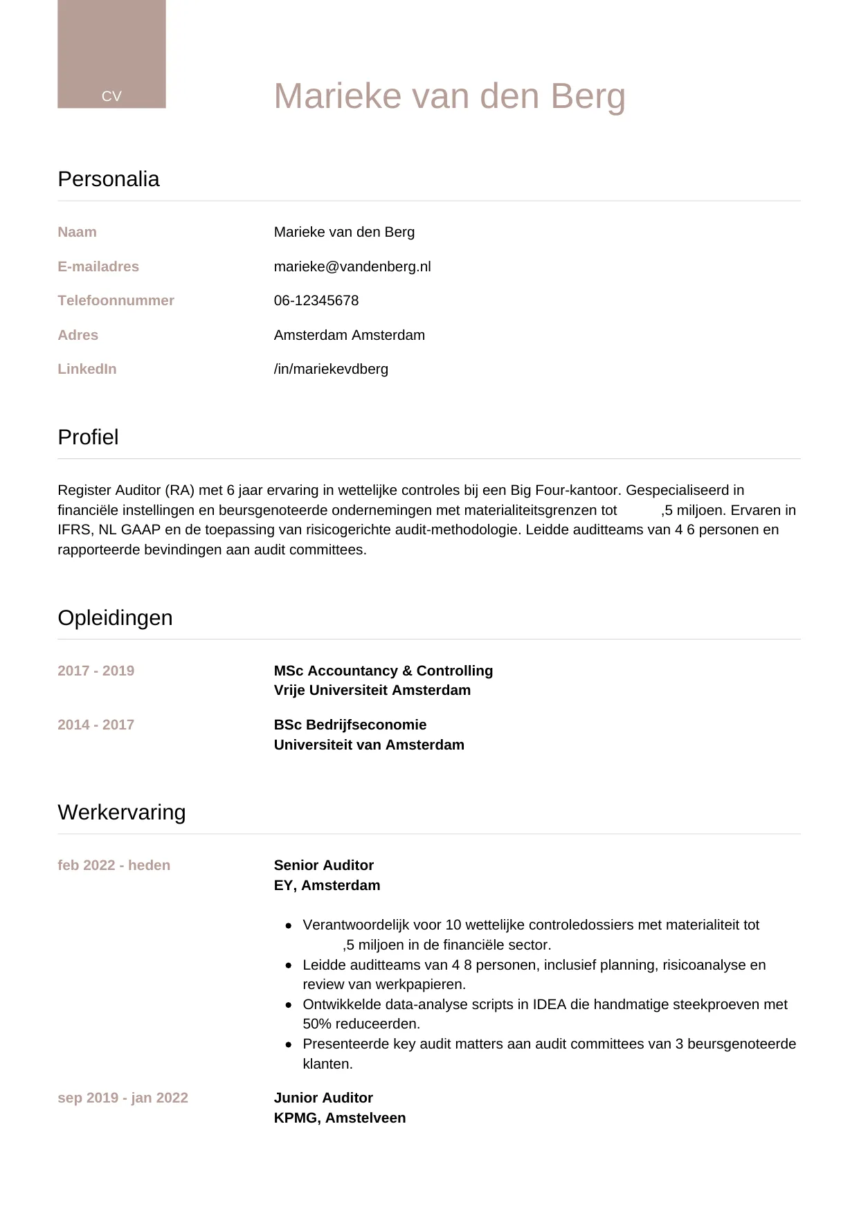 CV Luxe voor auditor