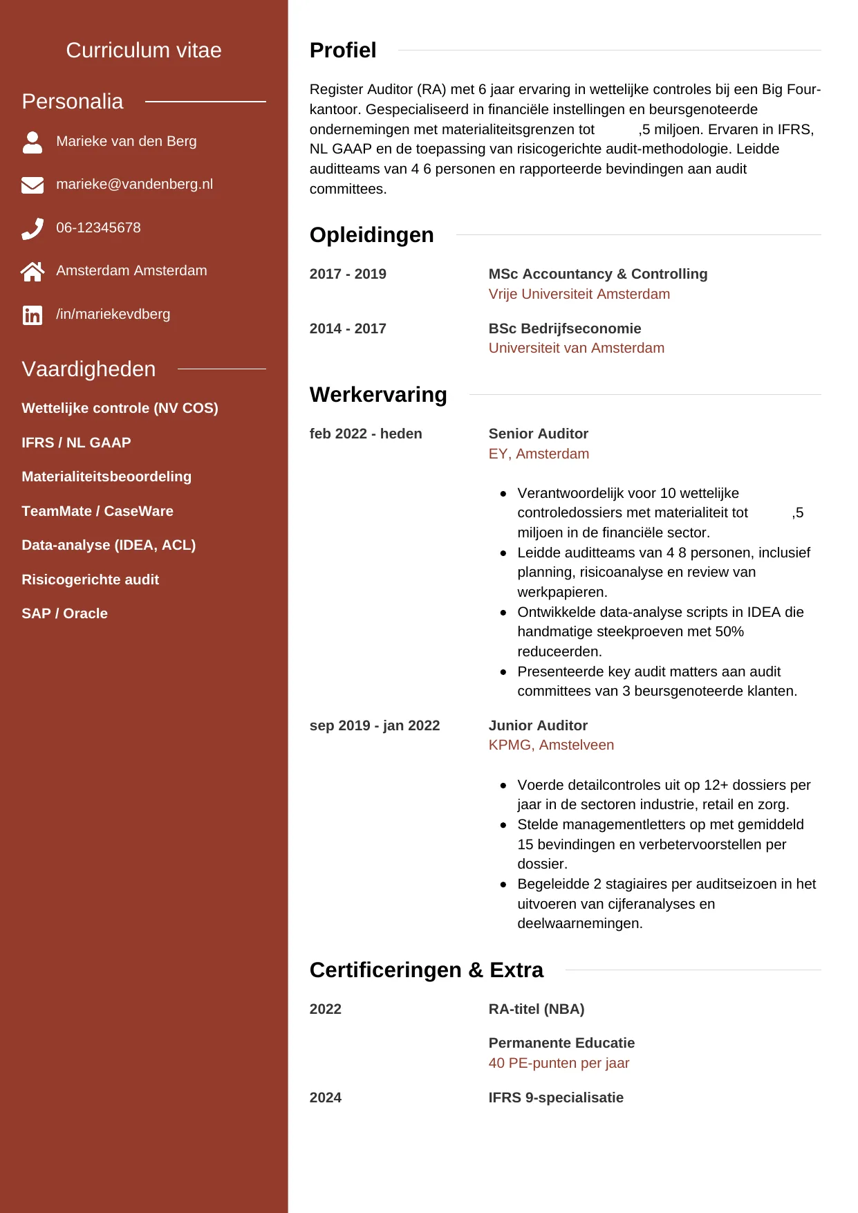 CV Modern voor auditor