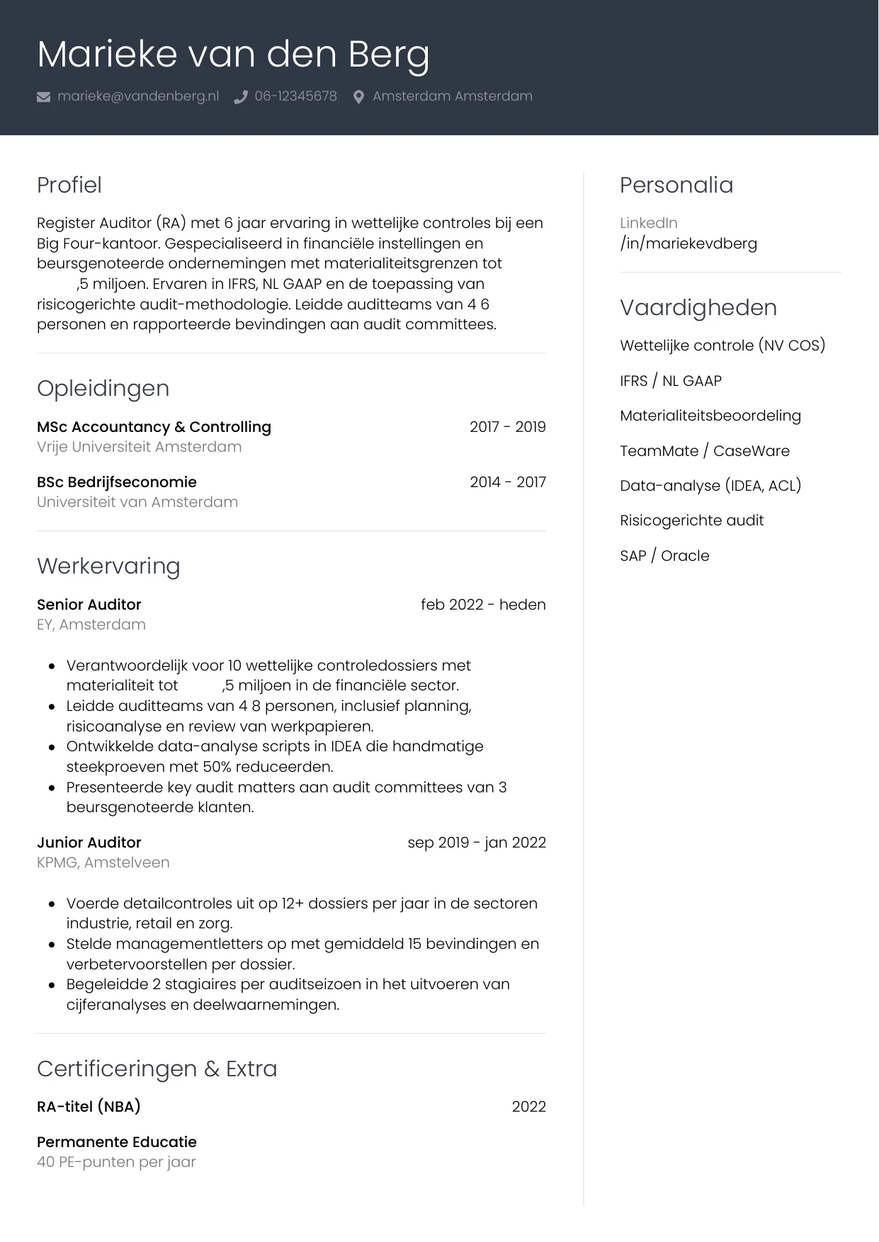 CV Professioneel voor auditor