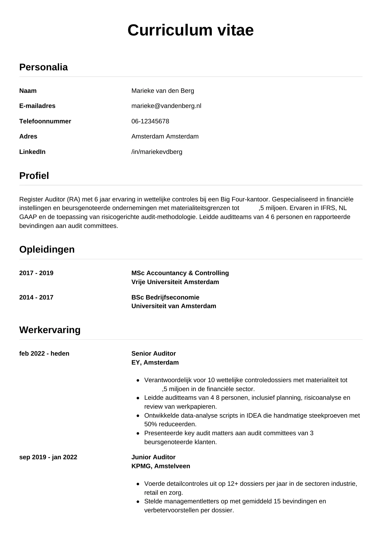 CV Simpel voor auditor