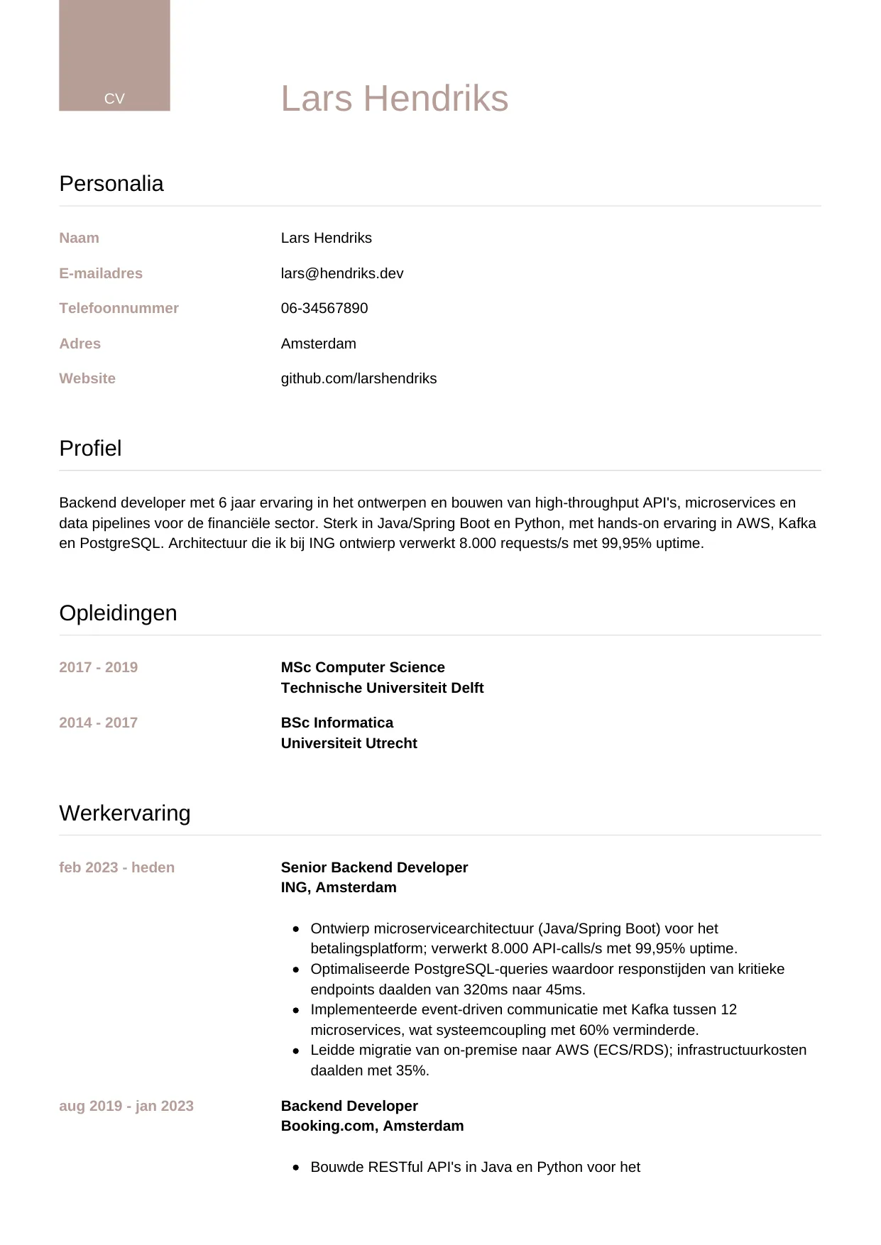 CV Luxe voor backend developer