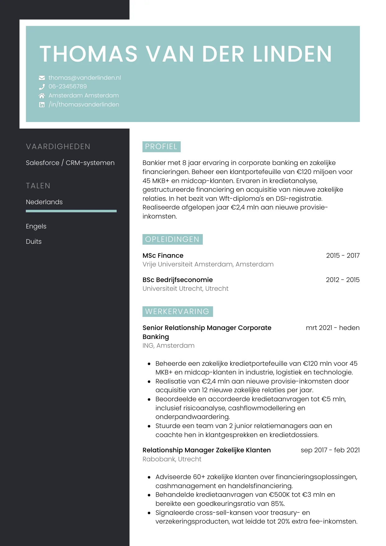 Voorbeeld CV voor bankier in template Elegant. CV Elegant voor bankier