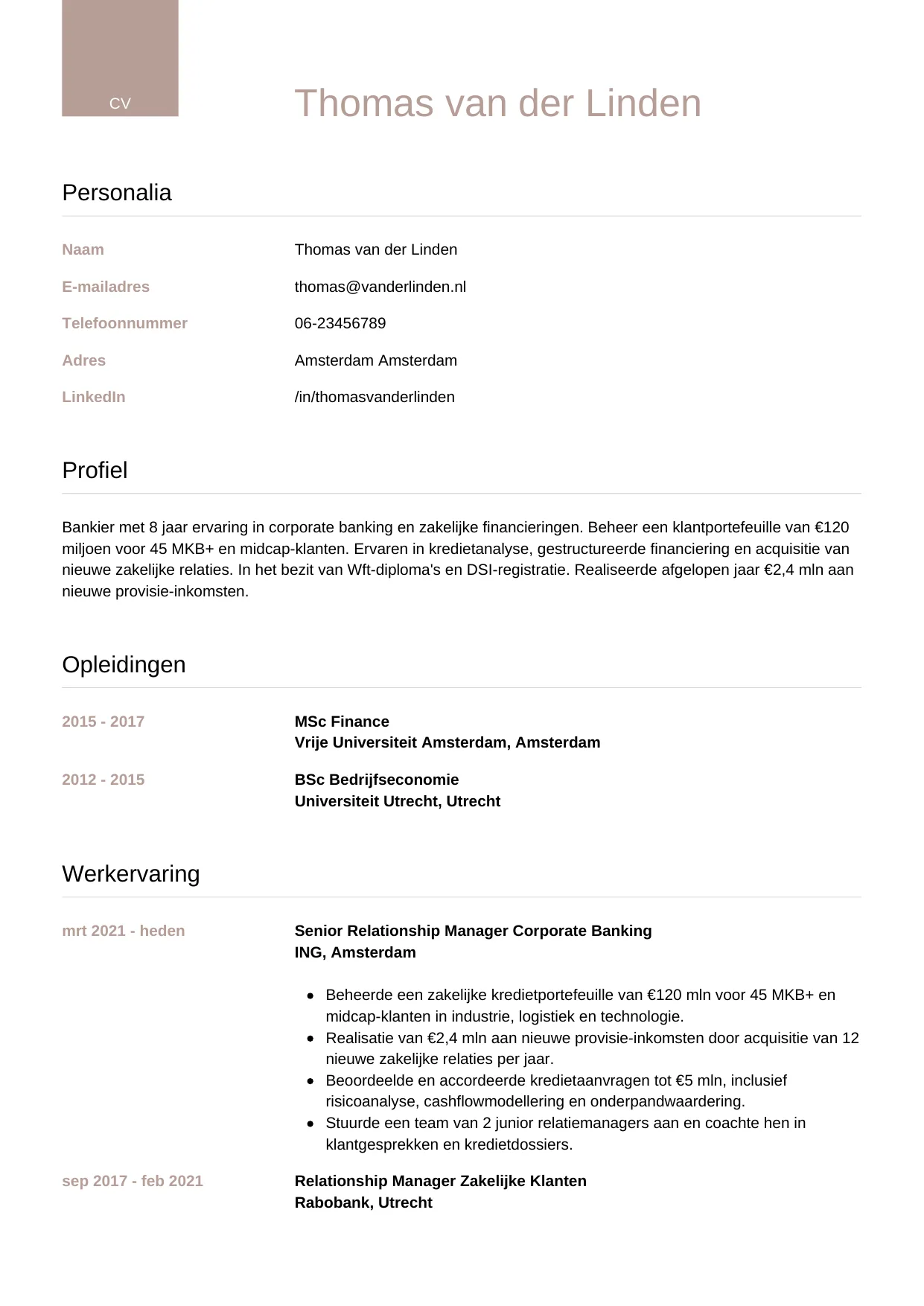 Voorbeeld CV voor bankier in template Luxe. CV Luxe voor bankier