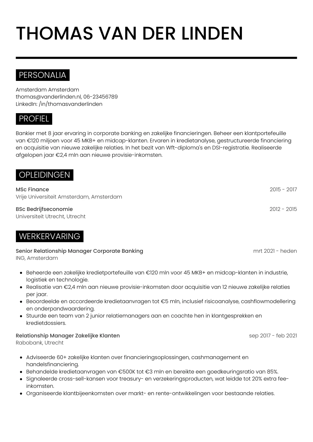 Voorbeeld CV voor bankier in template Metro. CV Metro voor bankier