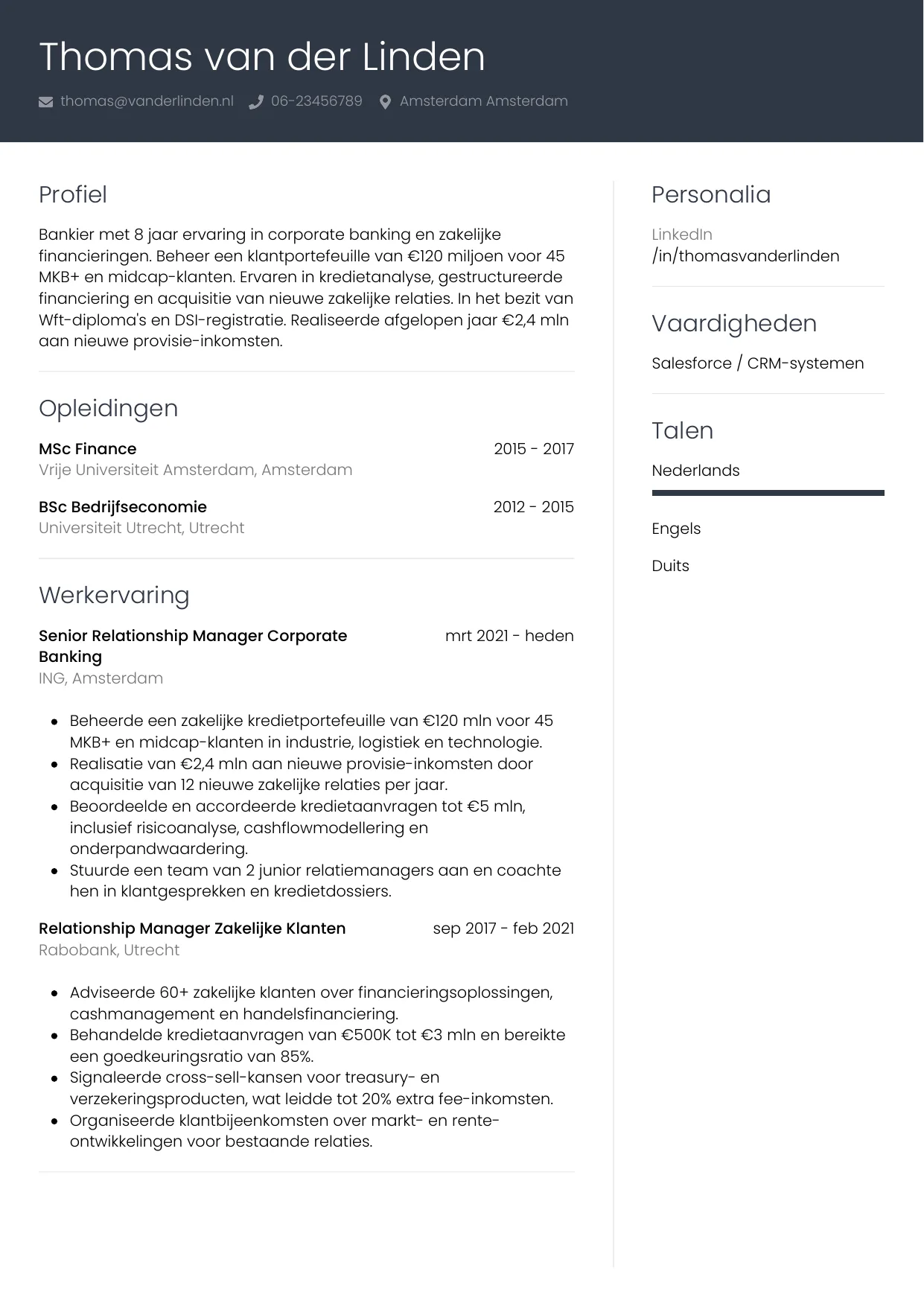 Voorbeeld CV voor bankier in template Professioneel. CV Professioneel voor bankier