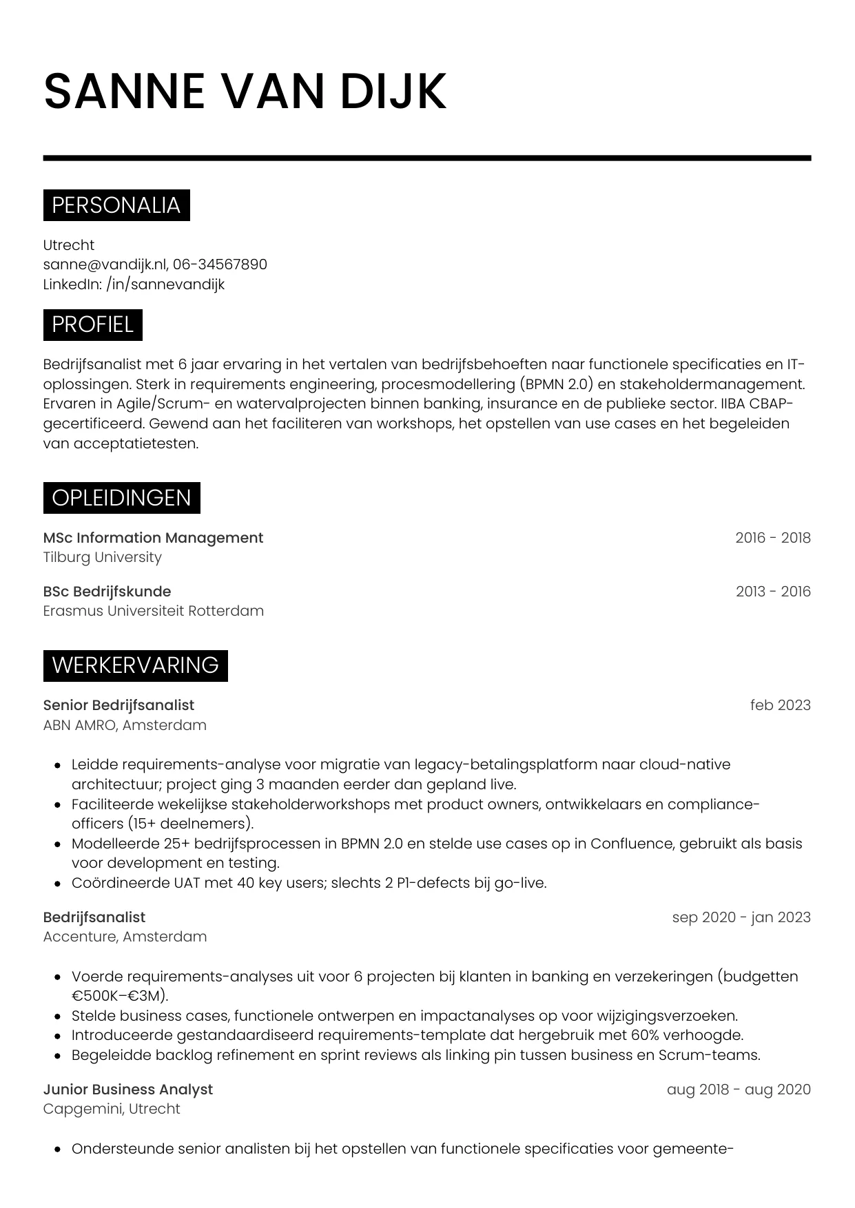 Voorbeeld CV voor bedrijfsanalist in template Metro. CV Metro voor bedrijfsanalist