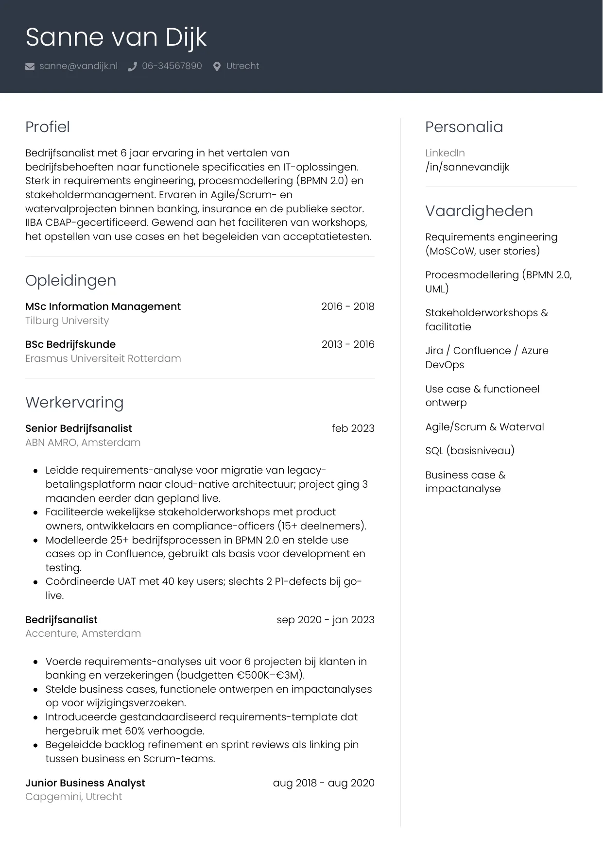 Voorbeeld CV voor bedrijfsanalist in template Professioneel. CV Professioneel voor bedrijfsanalist