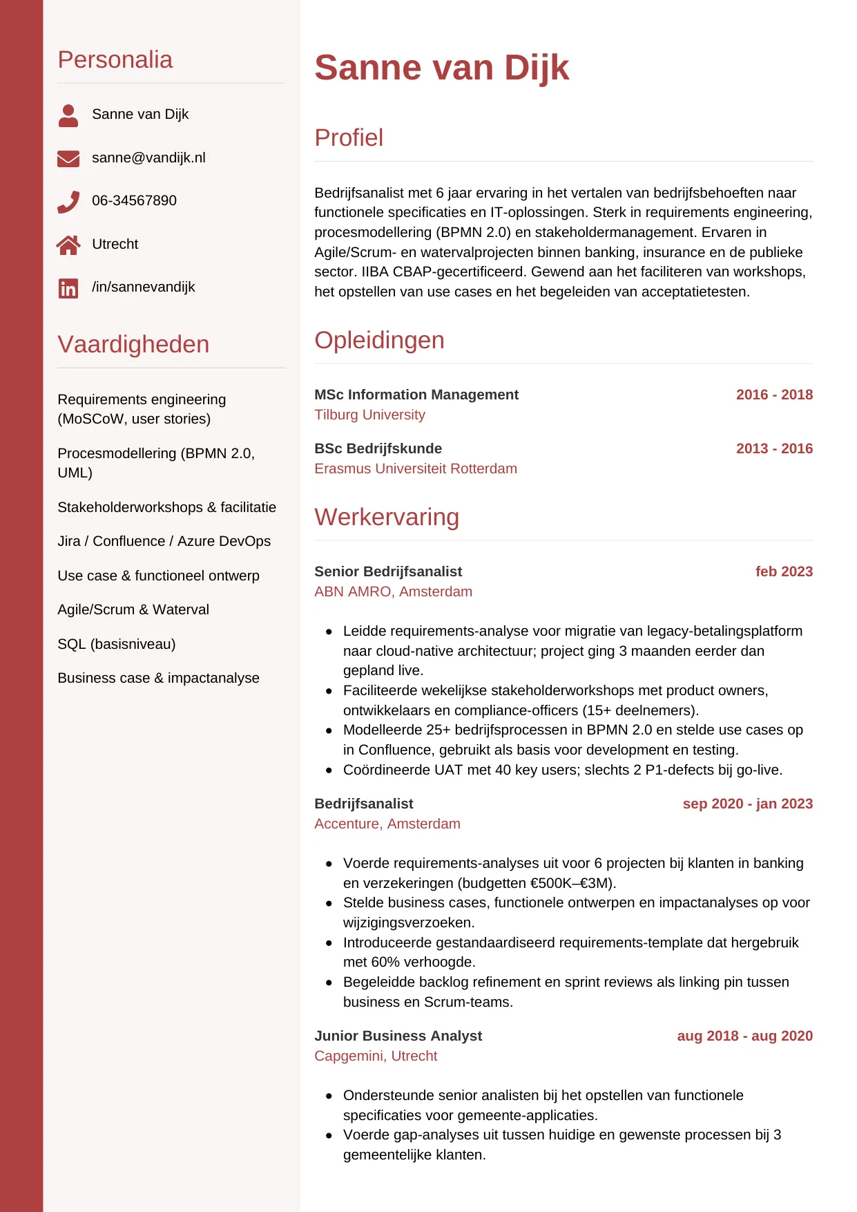 Voorbeeld CV voor bedrijfsanalist in template Verticaal. CV Verticaal voor bedrijfsanalist