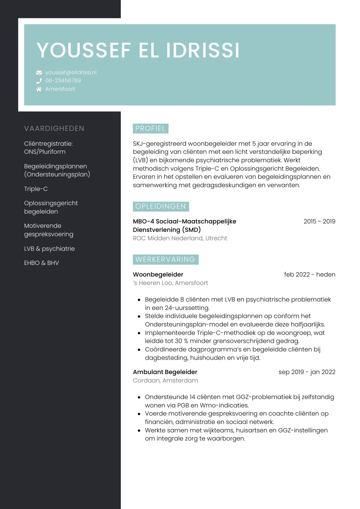 CV Elegant voor begeleider