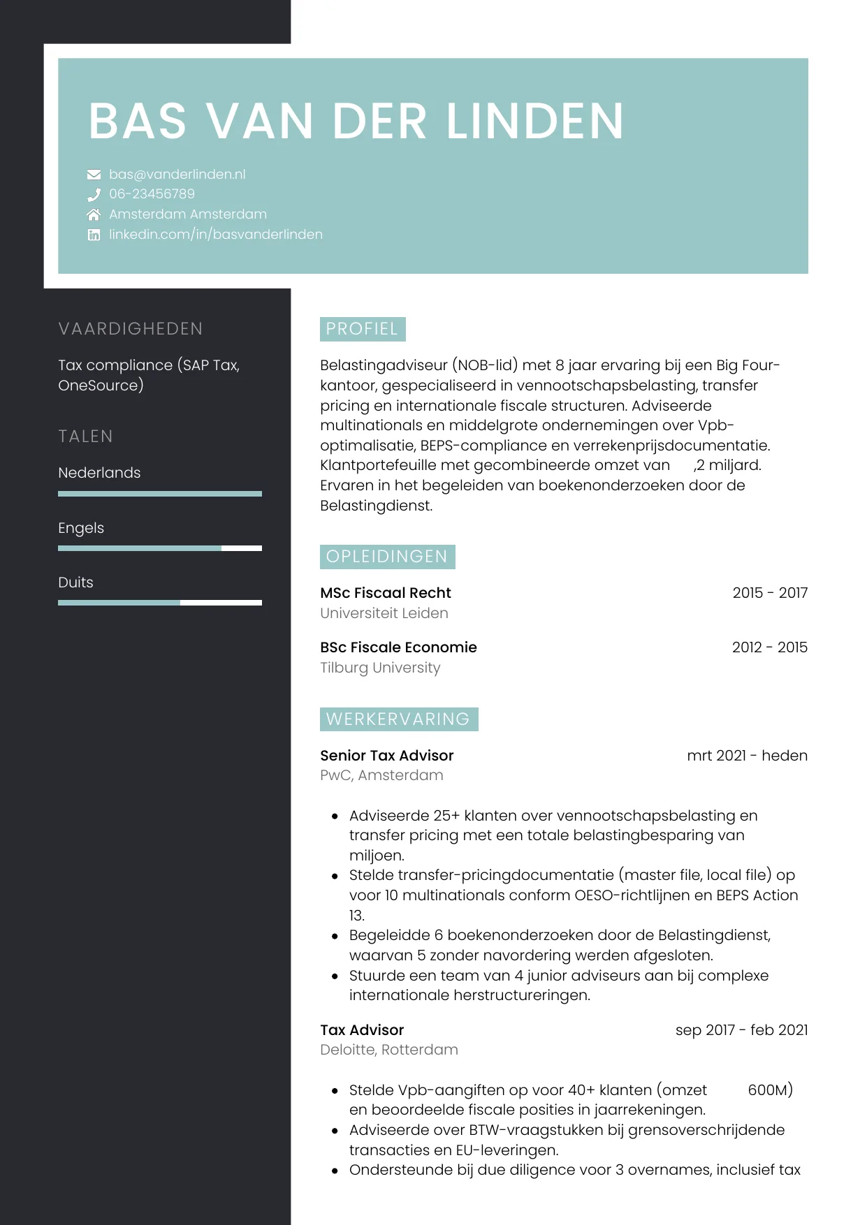 Voorbeeld CV voor belastingadviseur in template Elegant. CV Elegant voor belastingadviseur