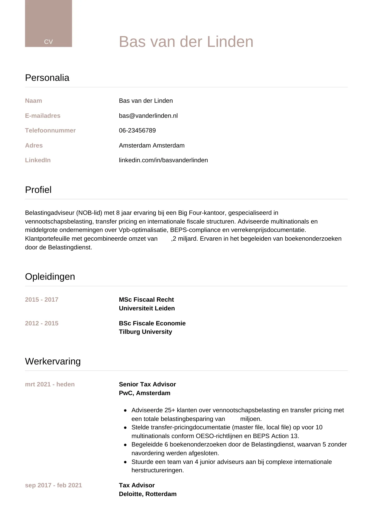 Voorbeeld CV voor belastingadviseur in template Luxe. CV Luxe voor belastingadviseur