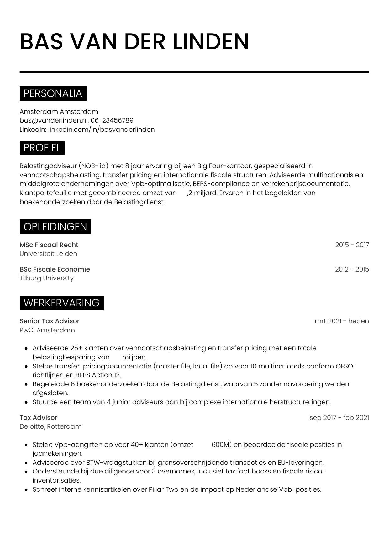 Voorbeeld CV voor belastingadviseur in template Metro. CV Metro voor belastingadviseur