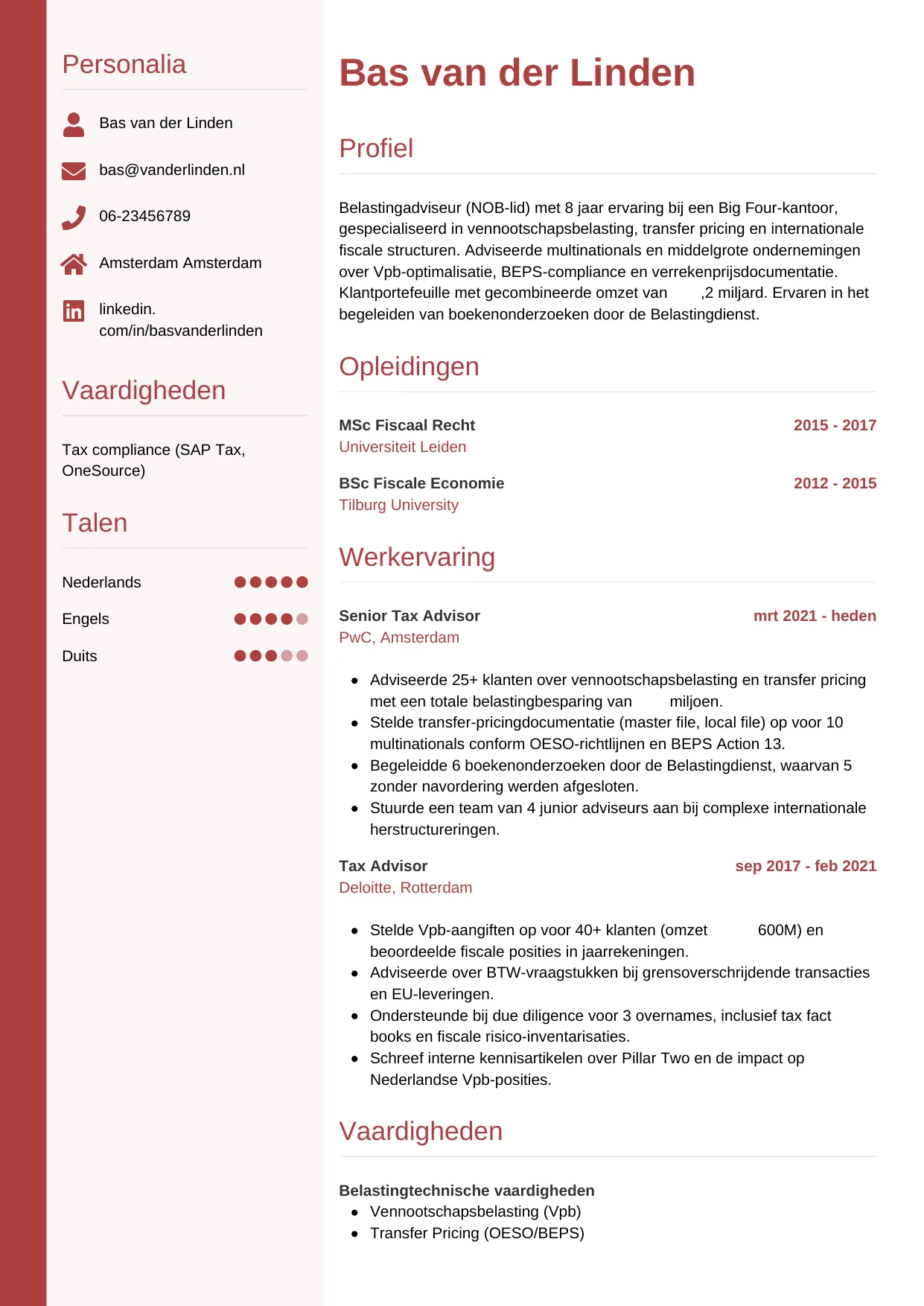 Voorbeeld CV voor belastingadviseur in template Verticaal. CV Verticaal voor belastingadviseur