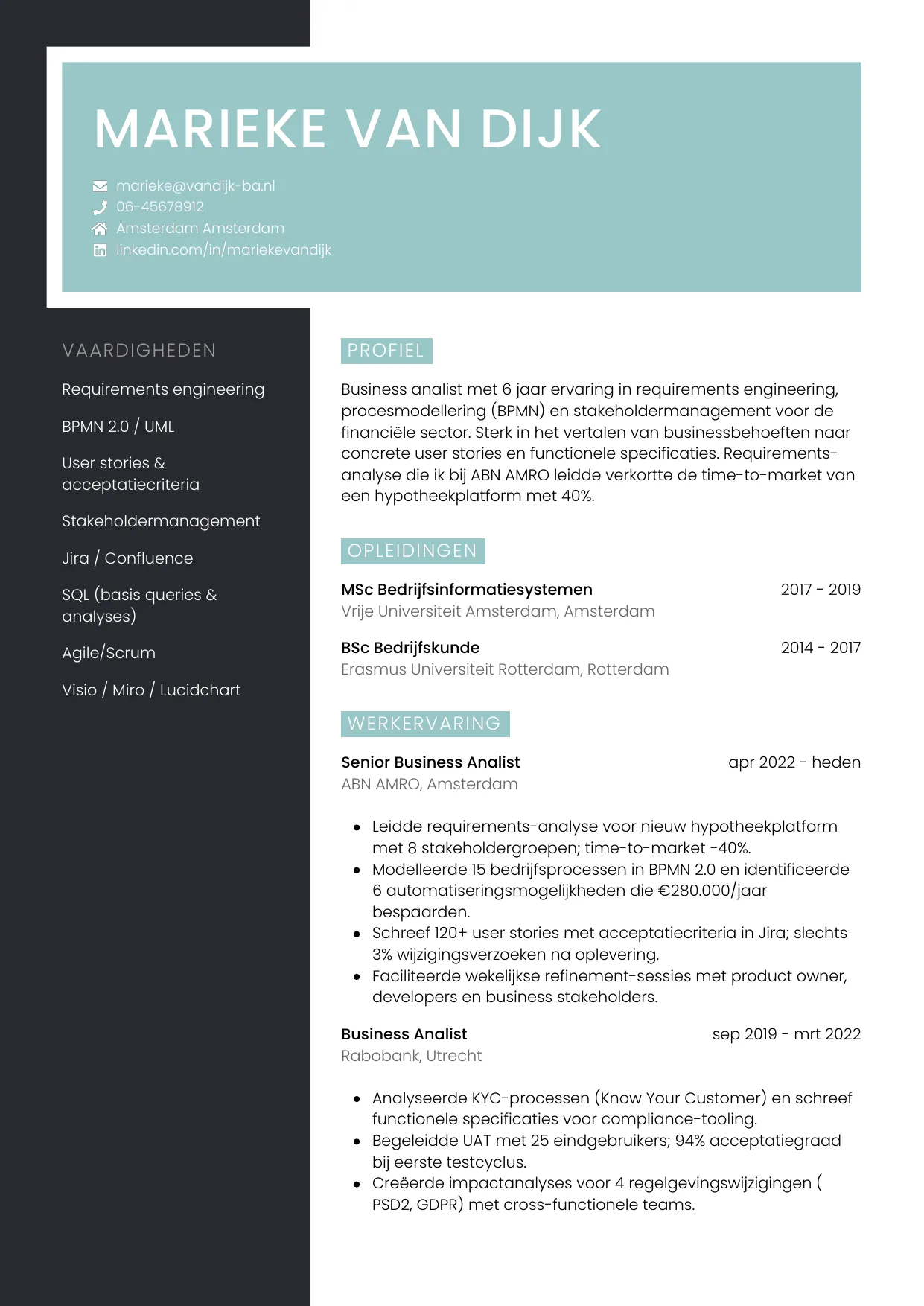 CV Elegant voor business analist