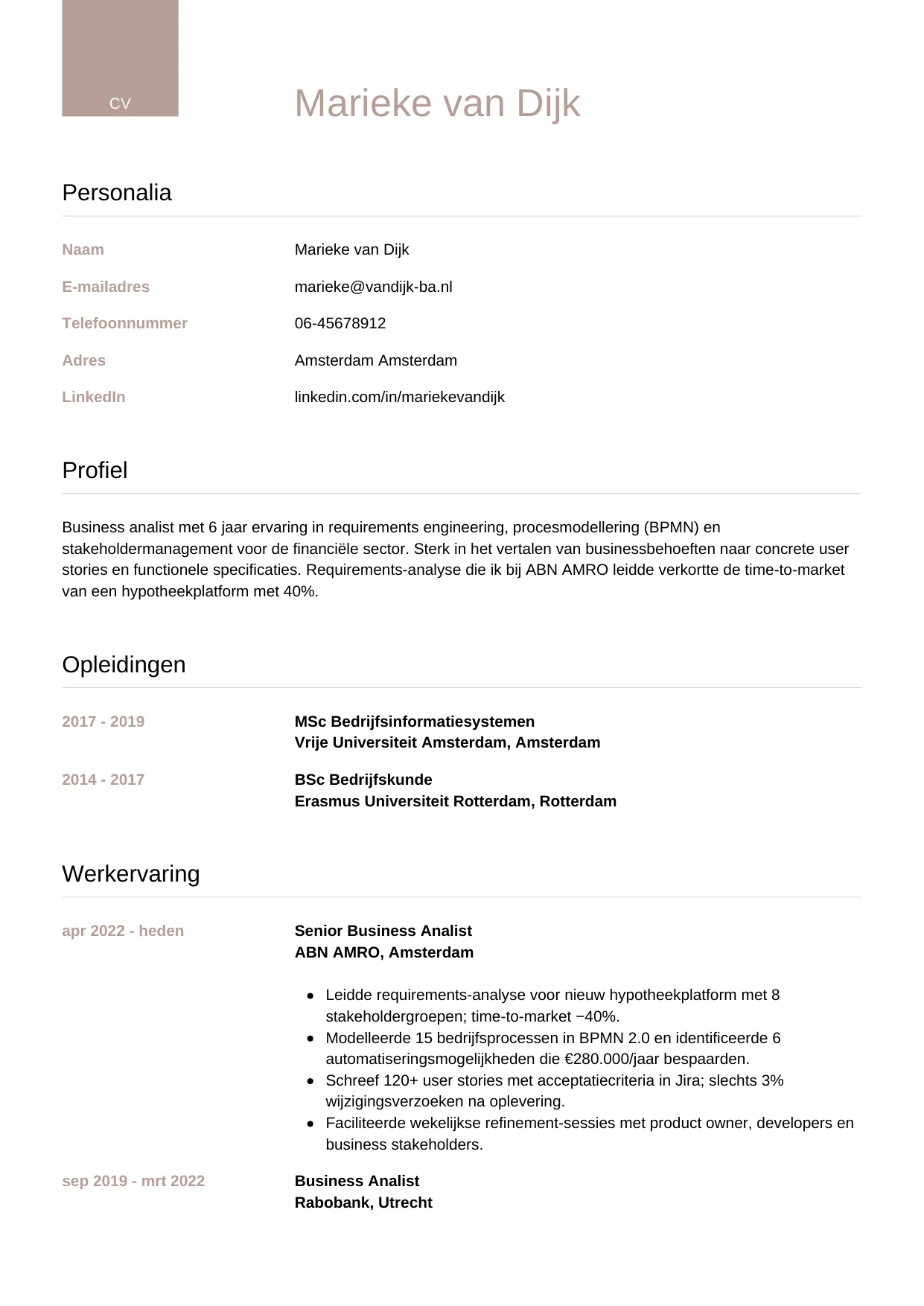 CV Luxe voor business analist