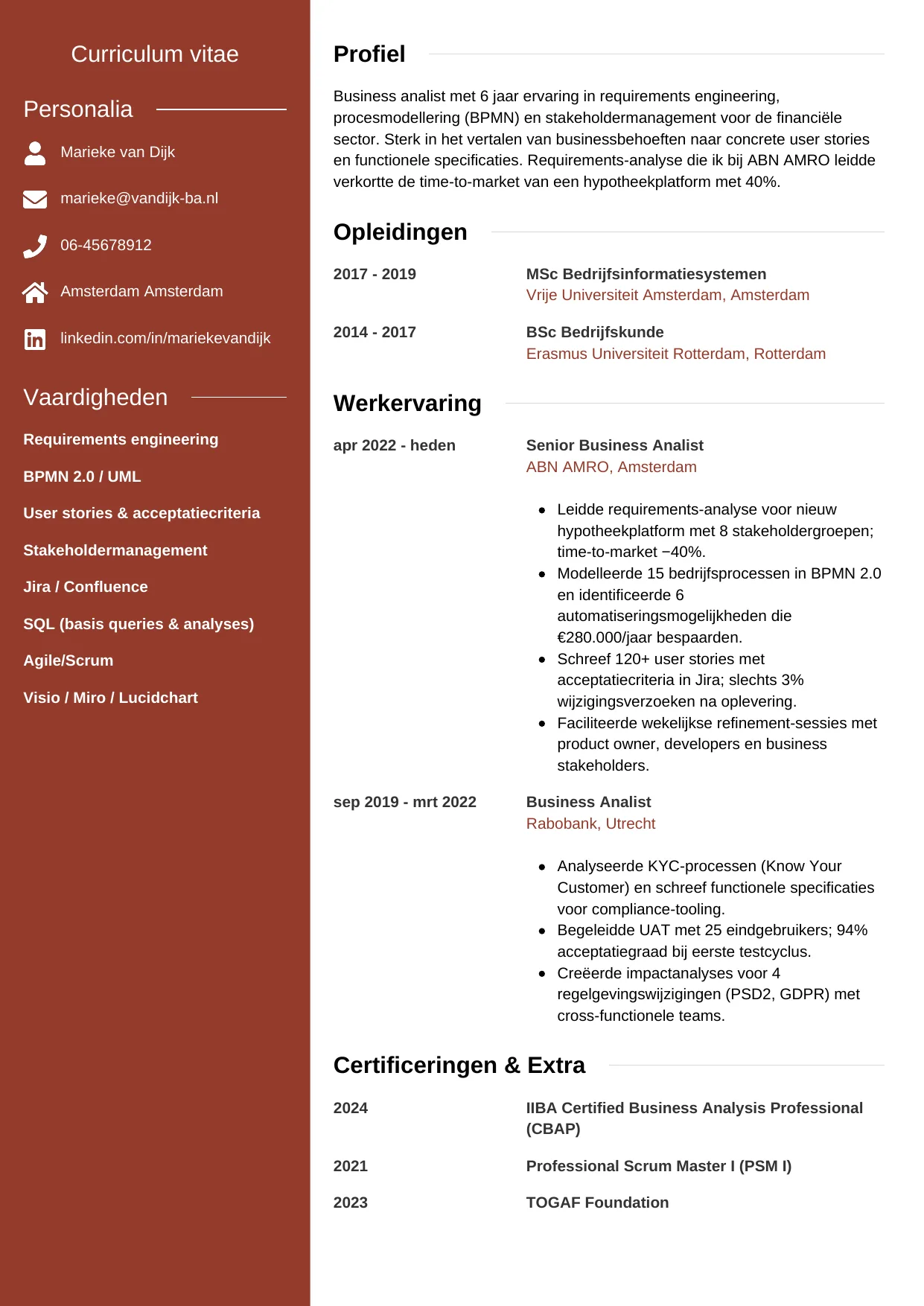 CV Modern voor business analist