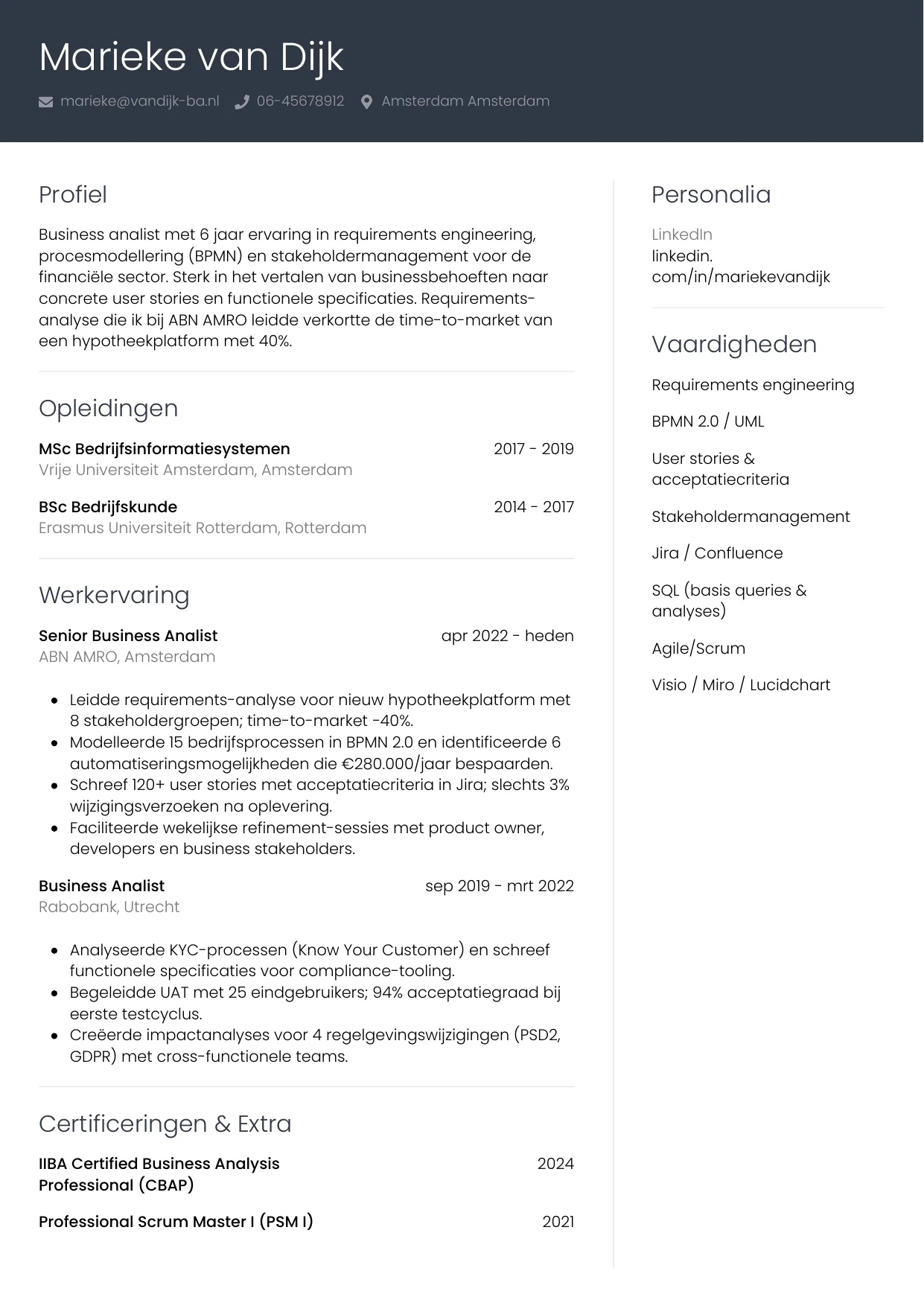 CV Professioneel voor business analist