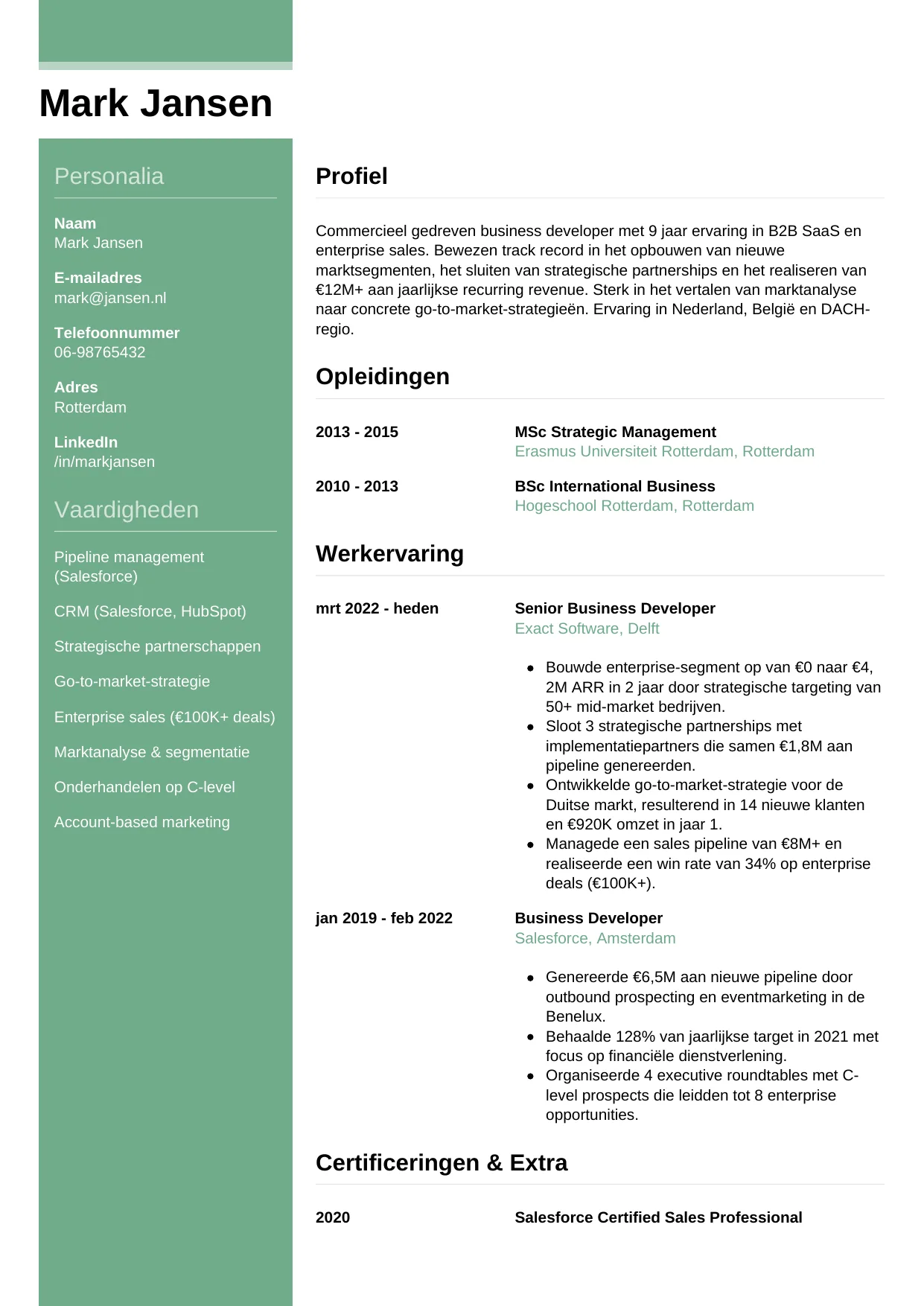 CV Casual voor business developer