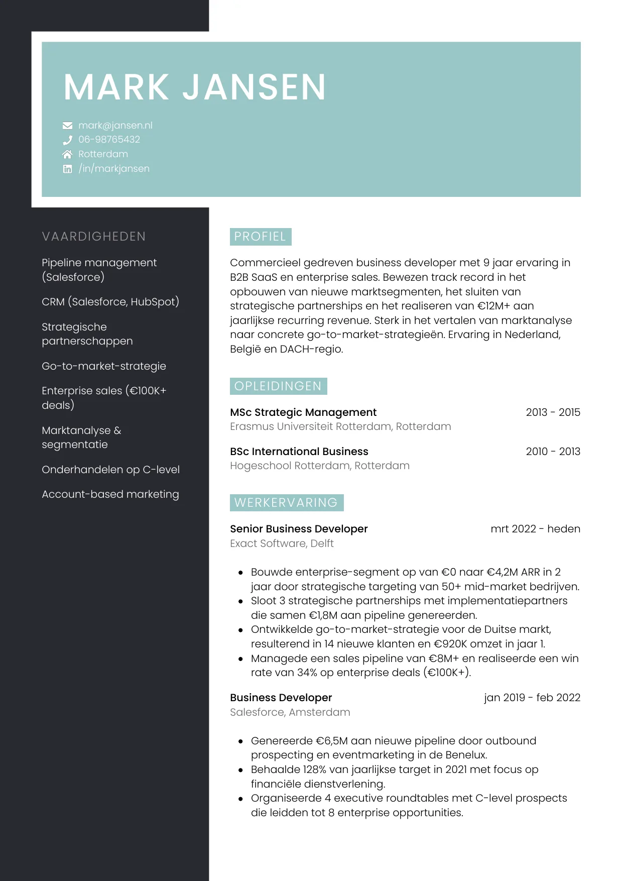 CV Elegant voor business developer