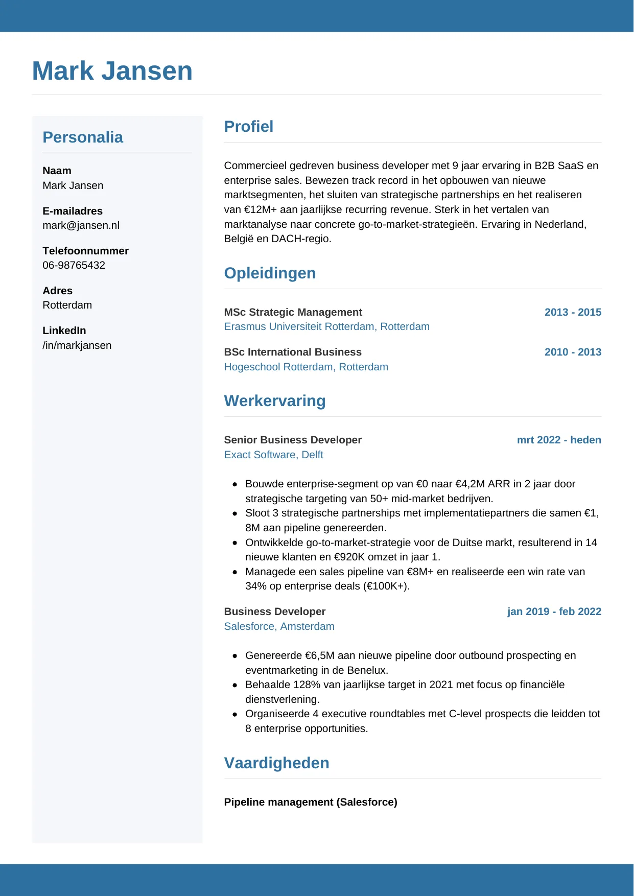 CV Horizontaal voor business developer
