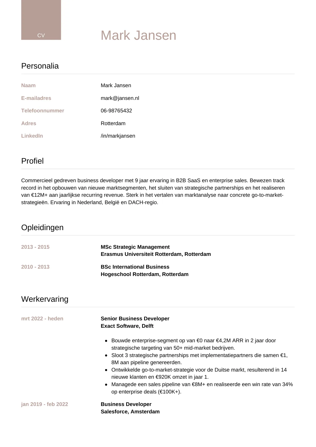 CV Luxe voor business developer