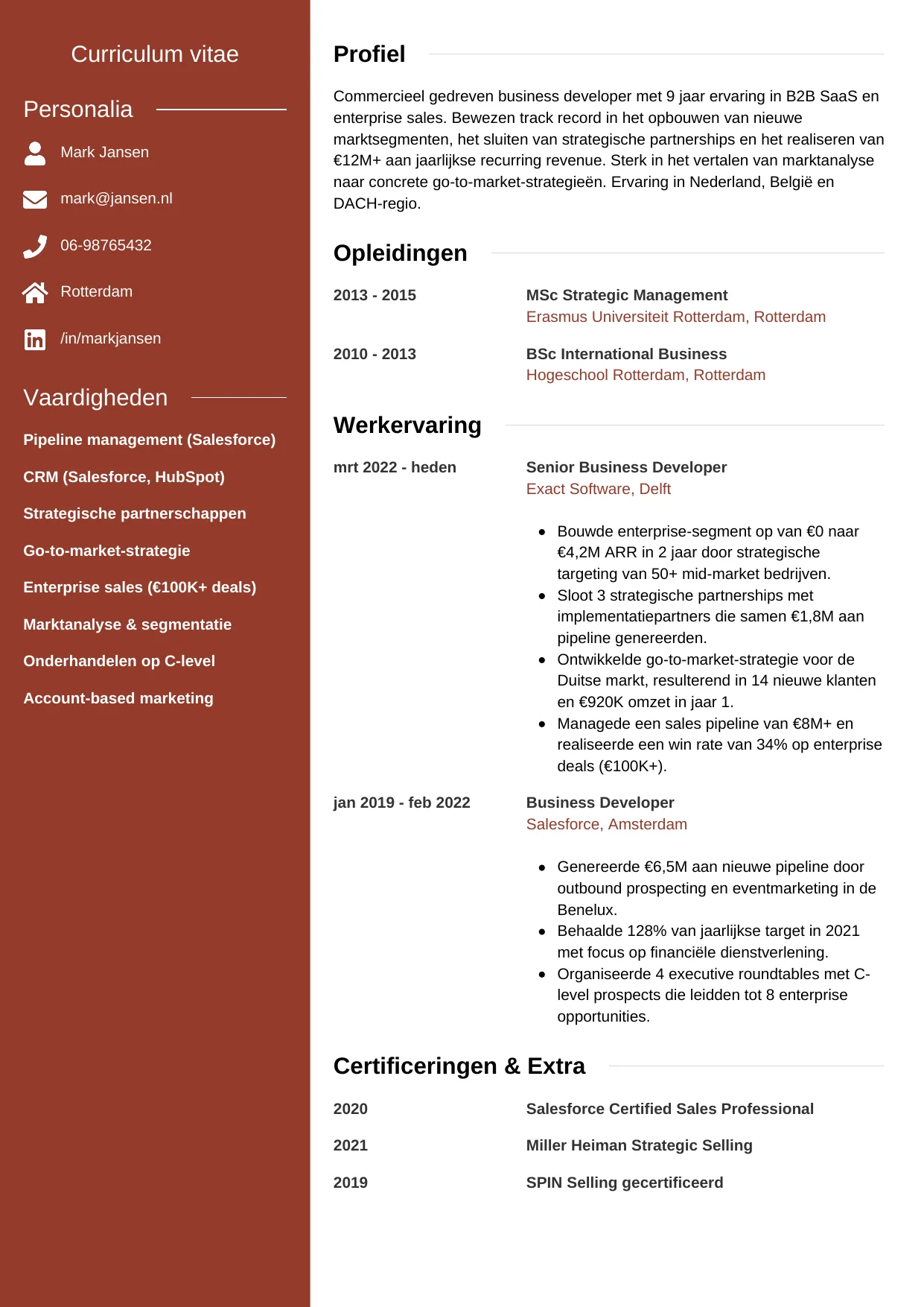 CV Modern voor business developer