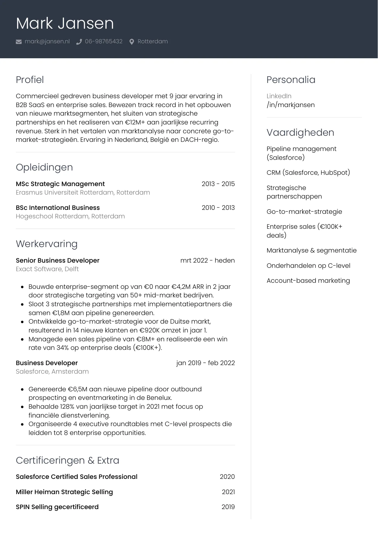 CV Professioneel voor business developer