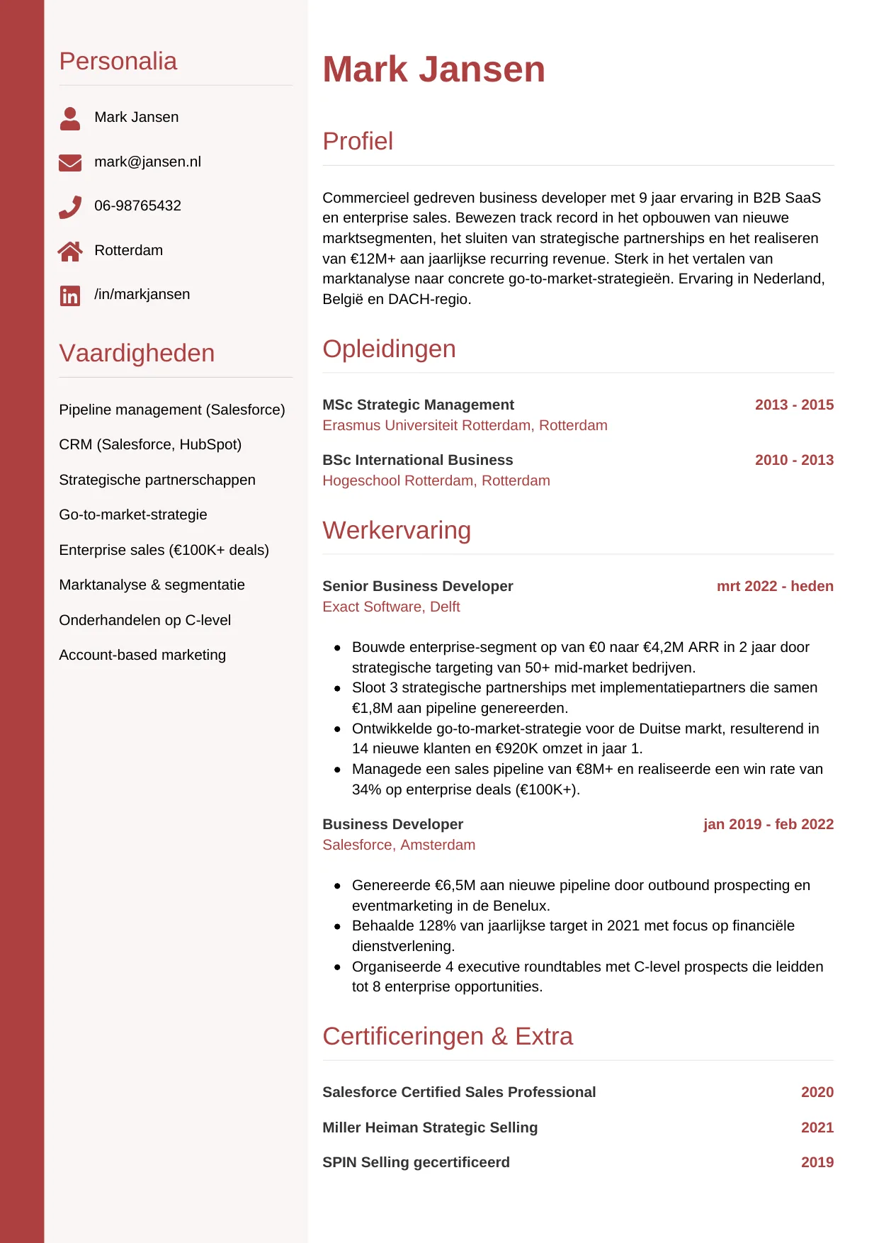 CV Verticaal voor business developer