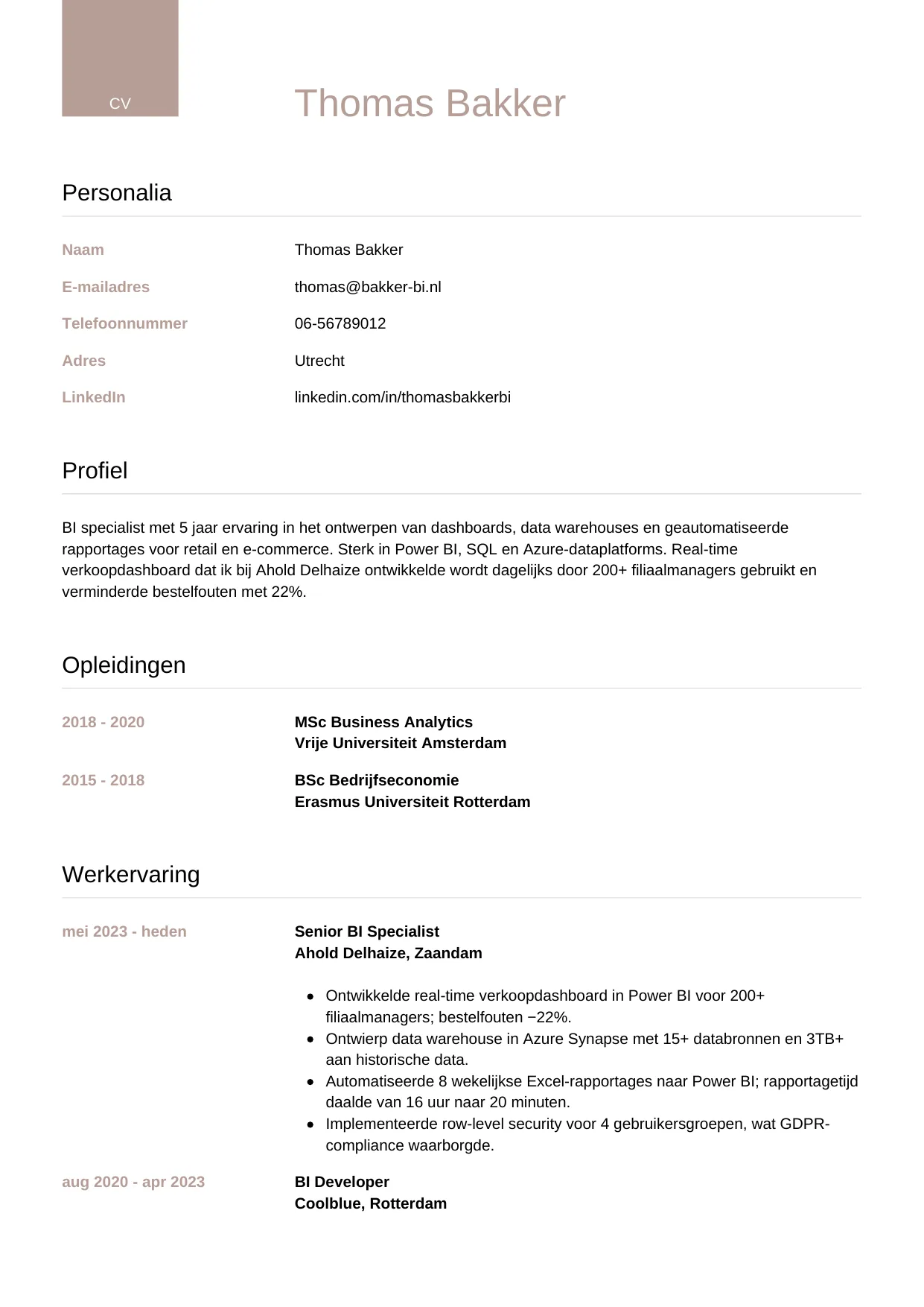 Voorbeeld CV voor bi specialist in template Luxe. CV Luxe voor bi specialist