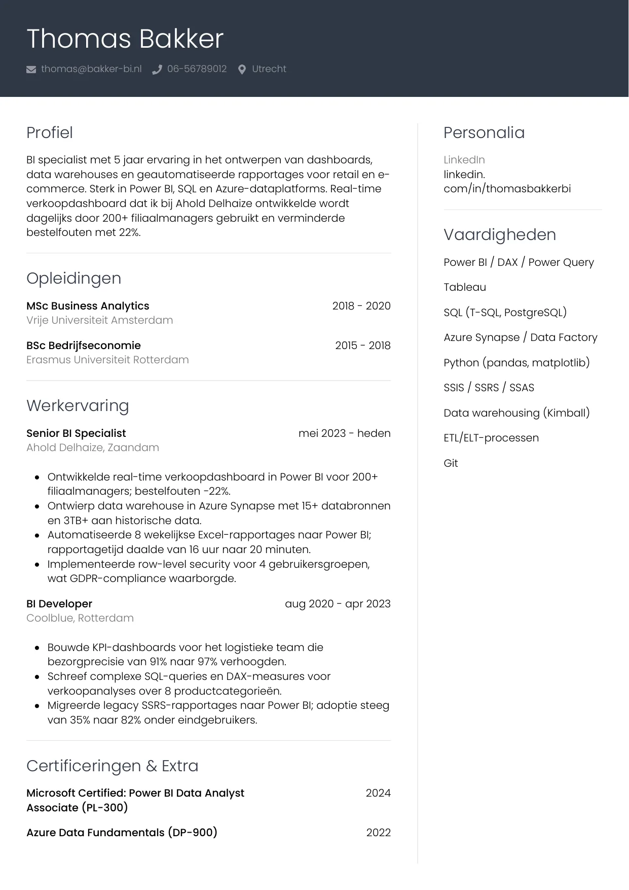 Voorbeeld CV voor bi specialist in template Professioneel. CV Professioneel voor bi specialist