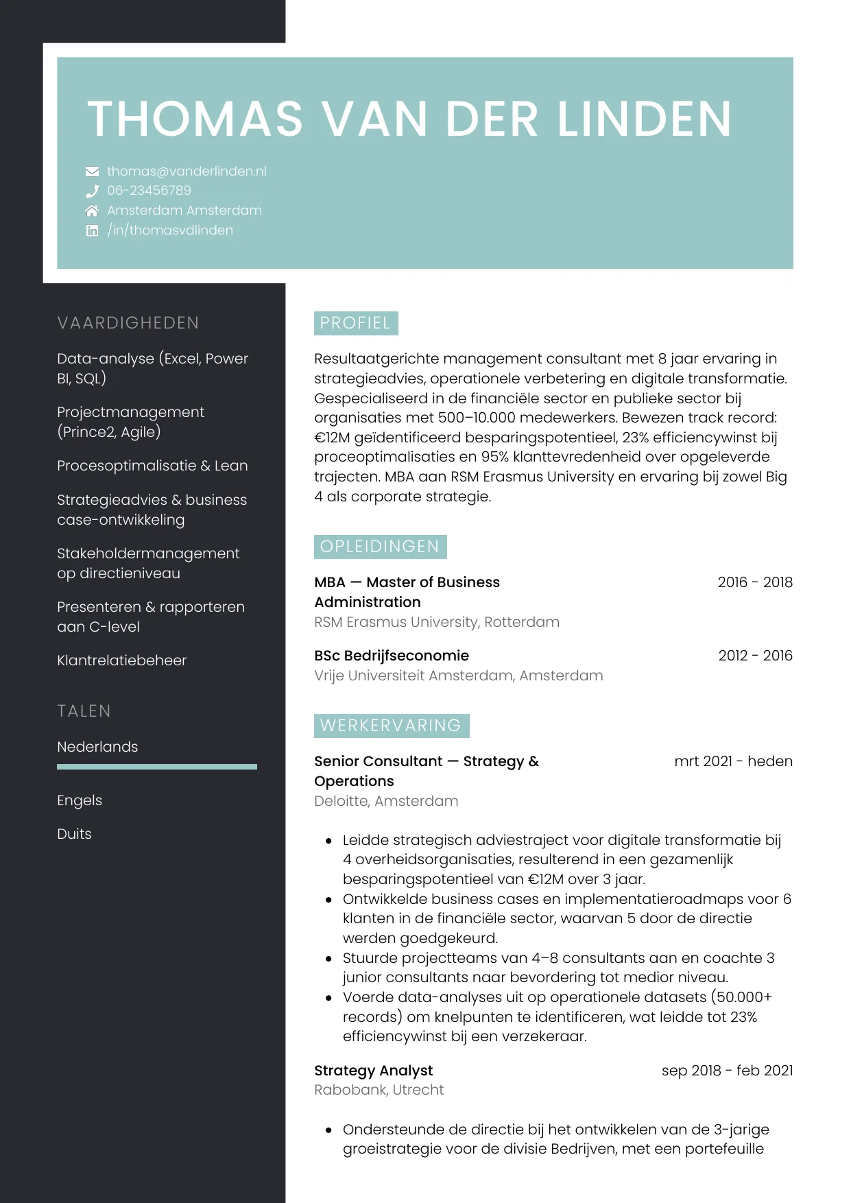 CV Elegant voor consultant