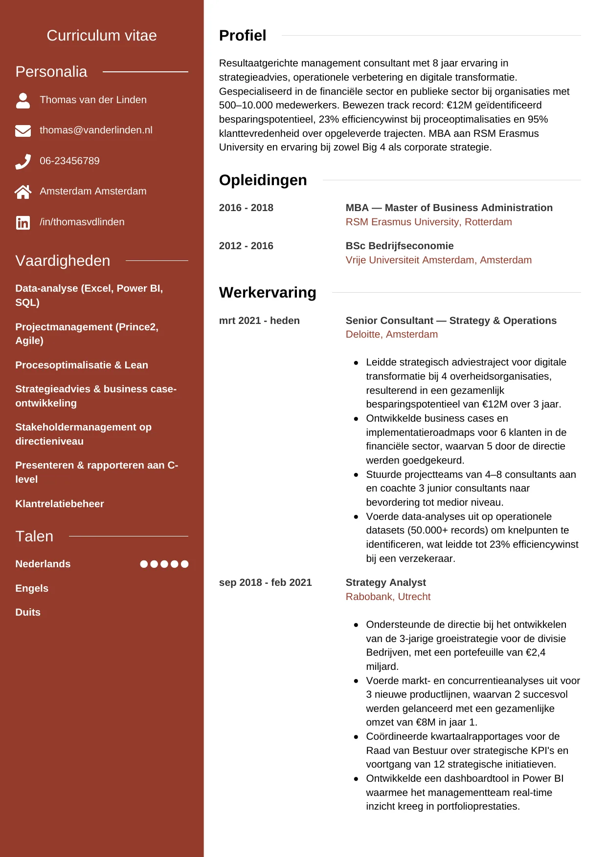 CV Modern voor consultant