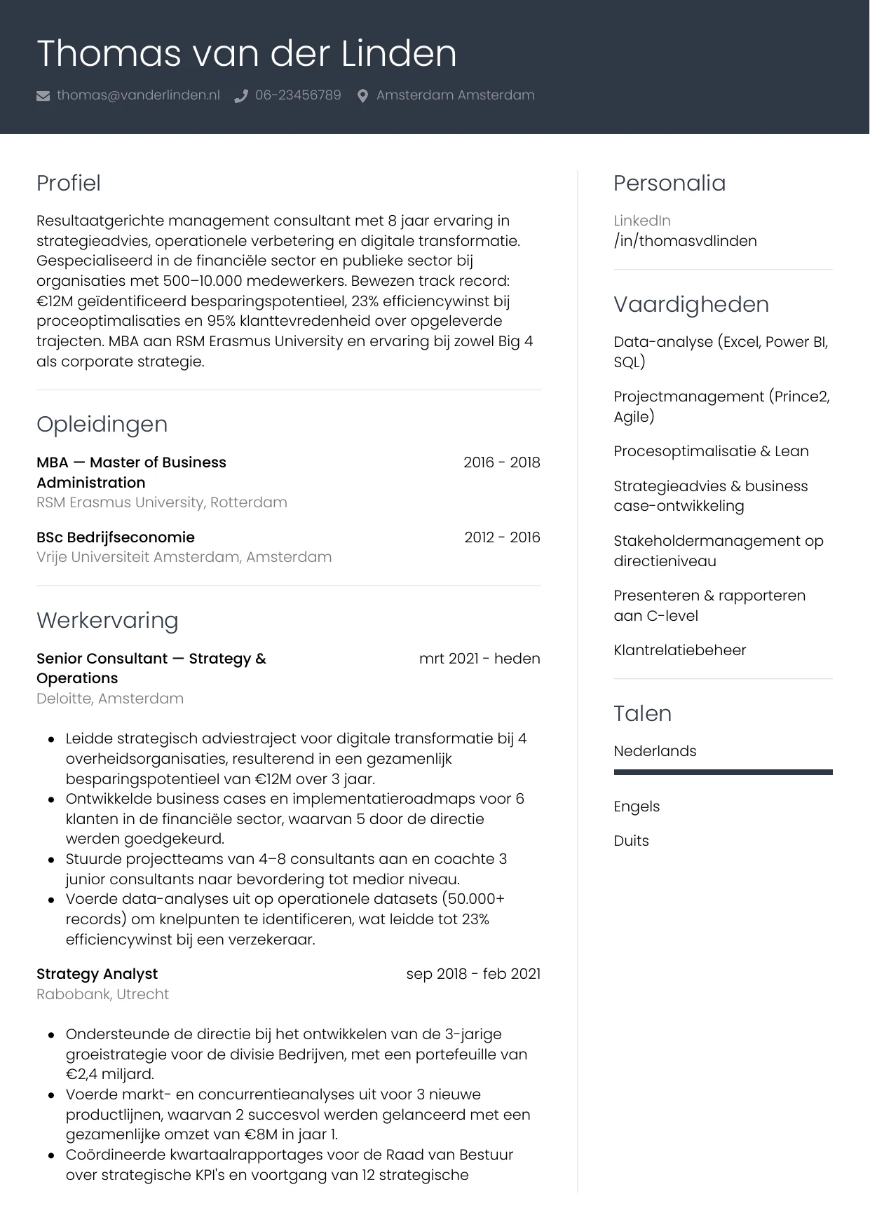 CV Professioneel voor consultant