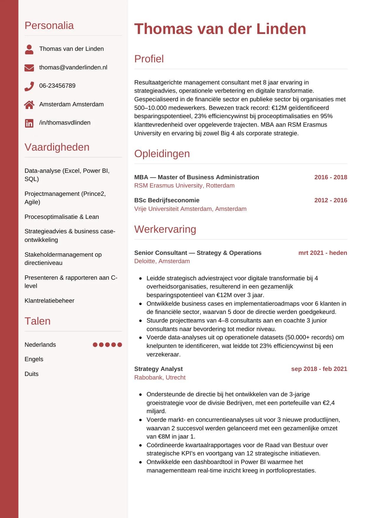 CV Verticaal voor consultant