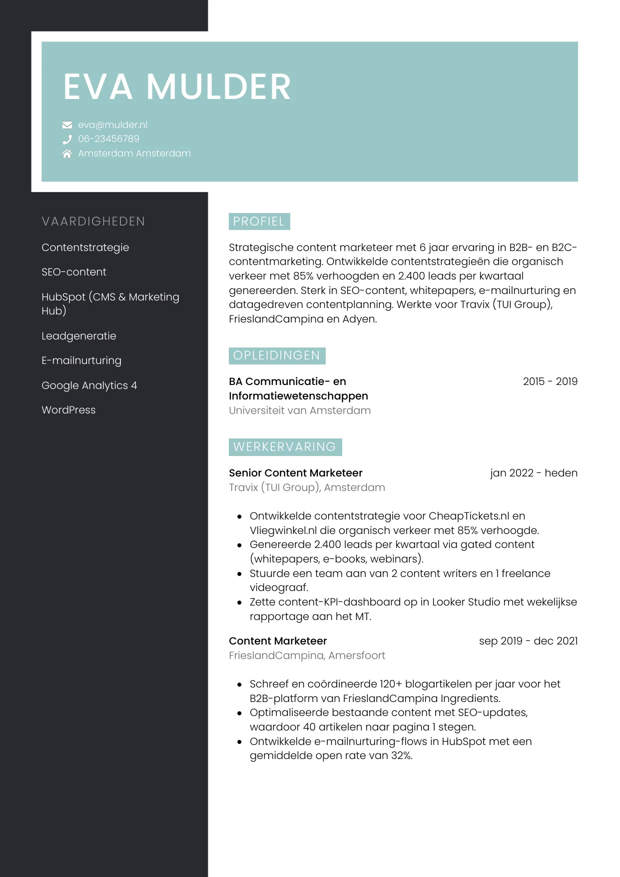 CV Elegant voor content marketeer