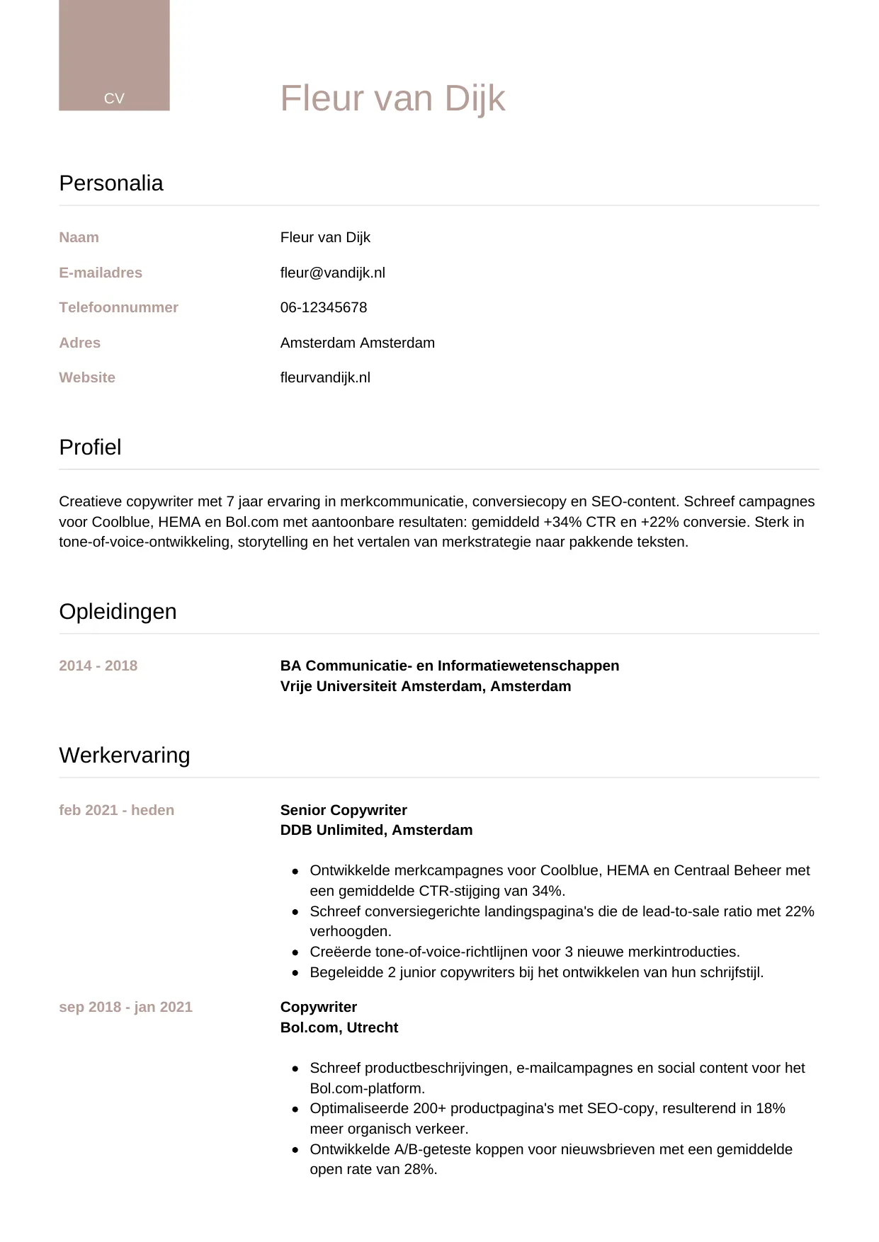 CV Luxe voor copywriter