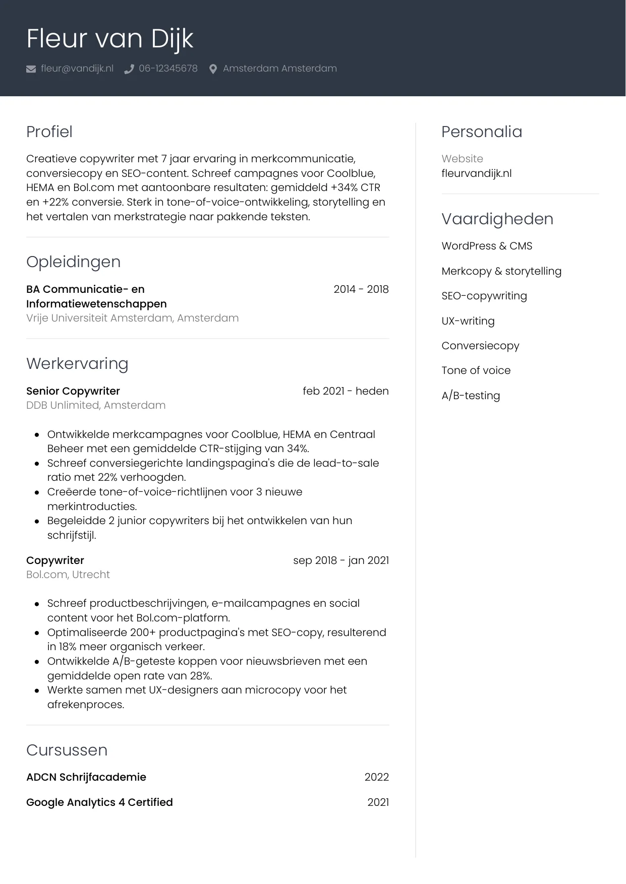 CV Professioneel voor copywriter