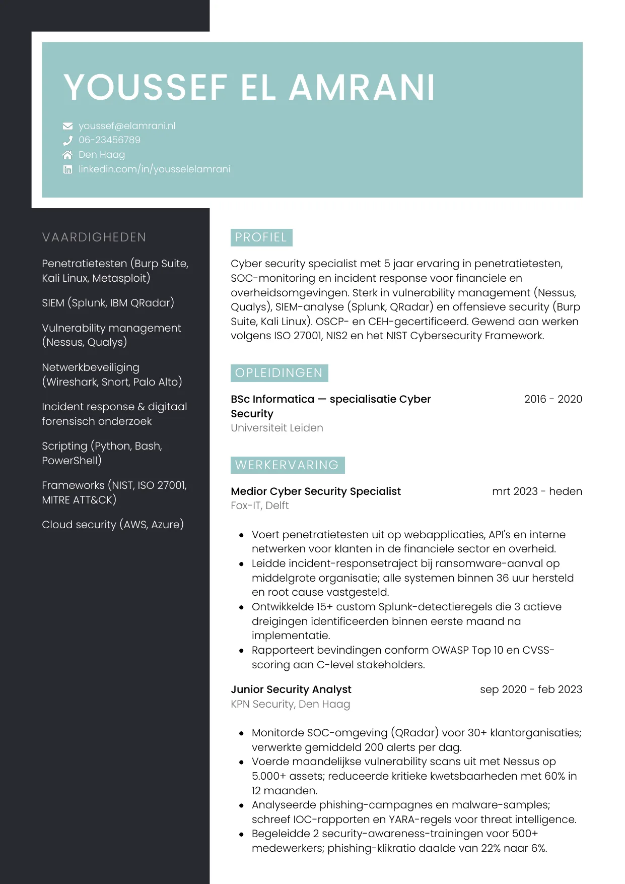 CV Elegant voor cyber security specialist
