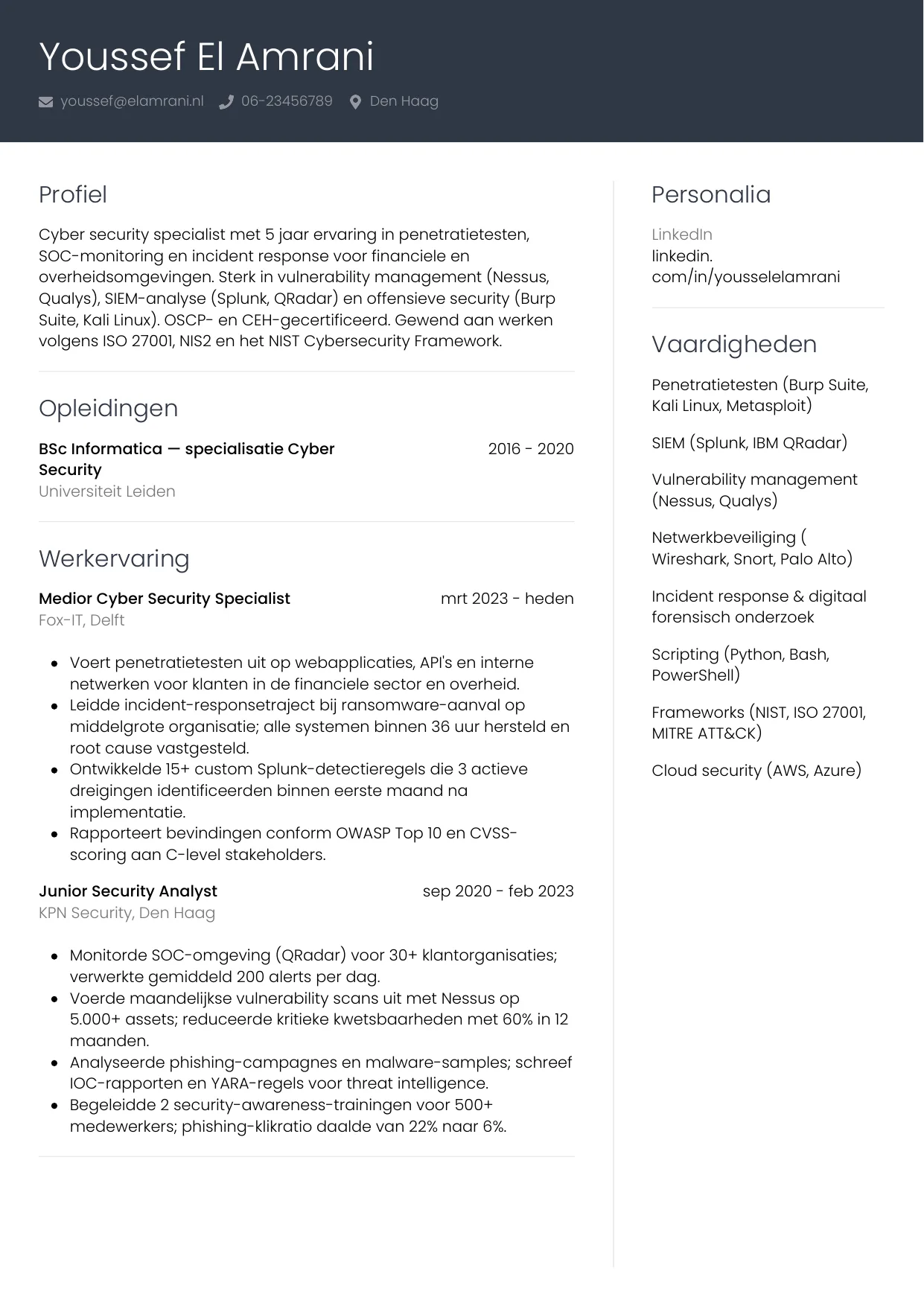 CV Professioneel voor cyber security specialist